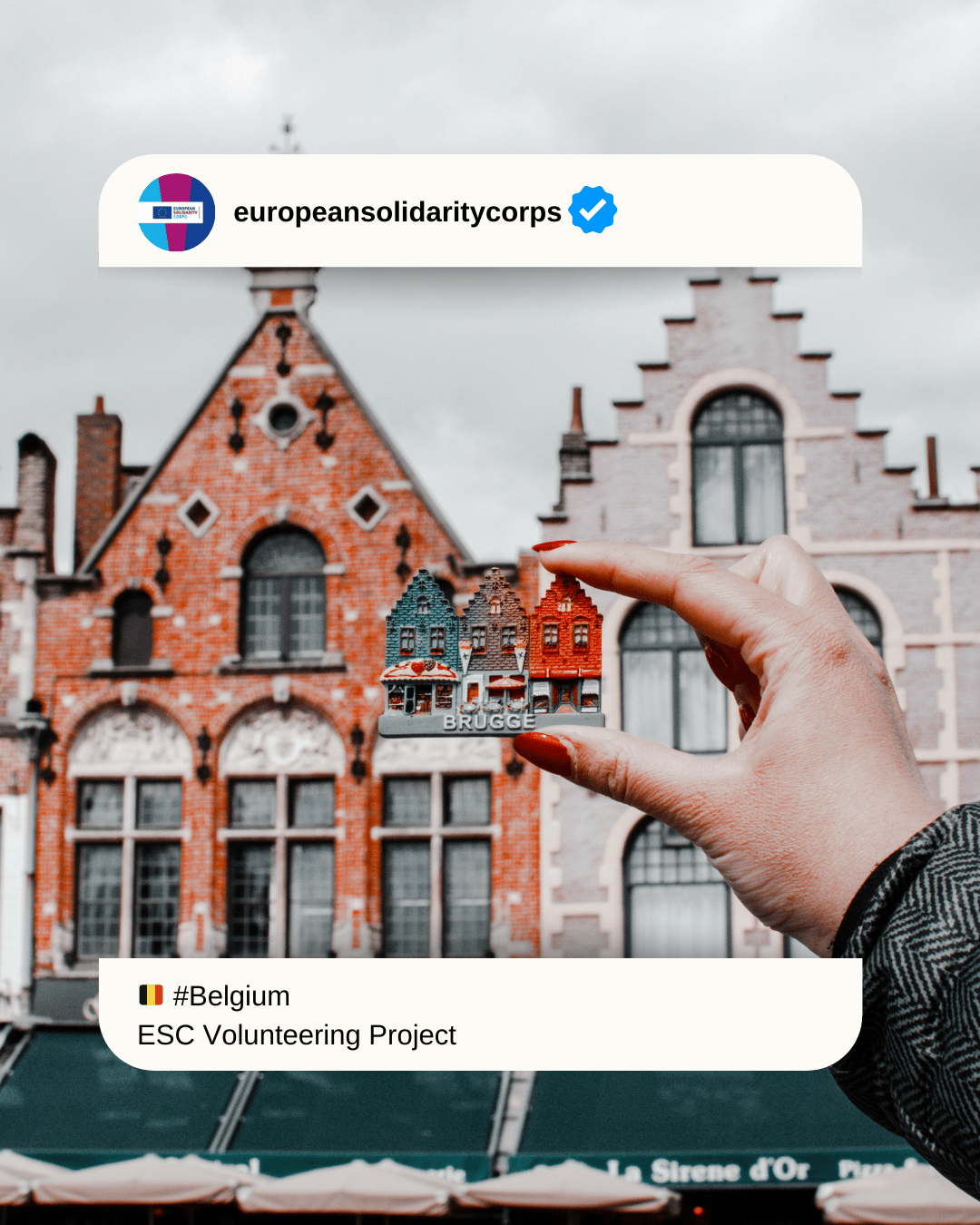 ✉️🇧🇪 ESC Volunteering in Belgium: Volunteer Messenger in Marche-en-Famenne 🌍 Connect, Support & Inspire!