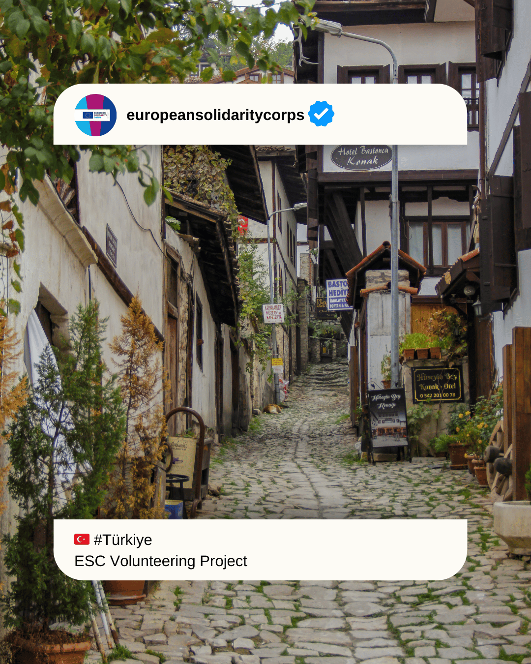 🏃🇹🇷 STEP BY STEP Türkiye – ESC Volunteering in Tokat, Türkiye