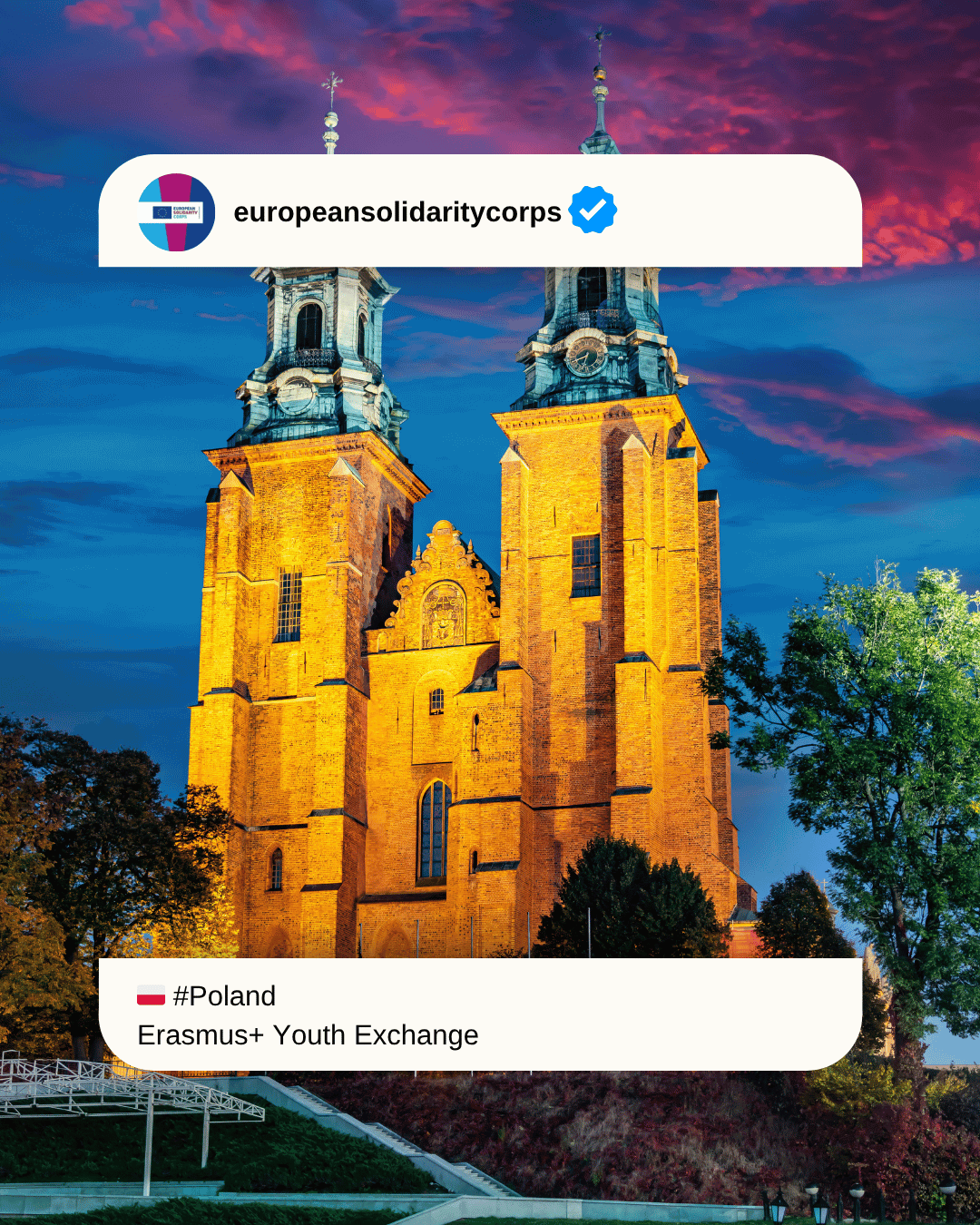 💸 Young Investors: Build the Foundations of Financial Success! 🇵🇱