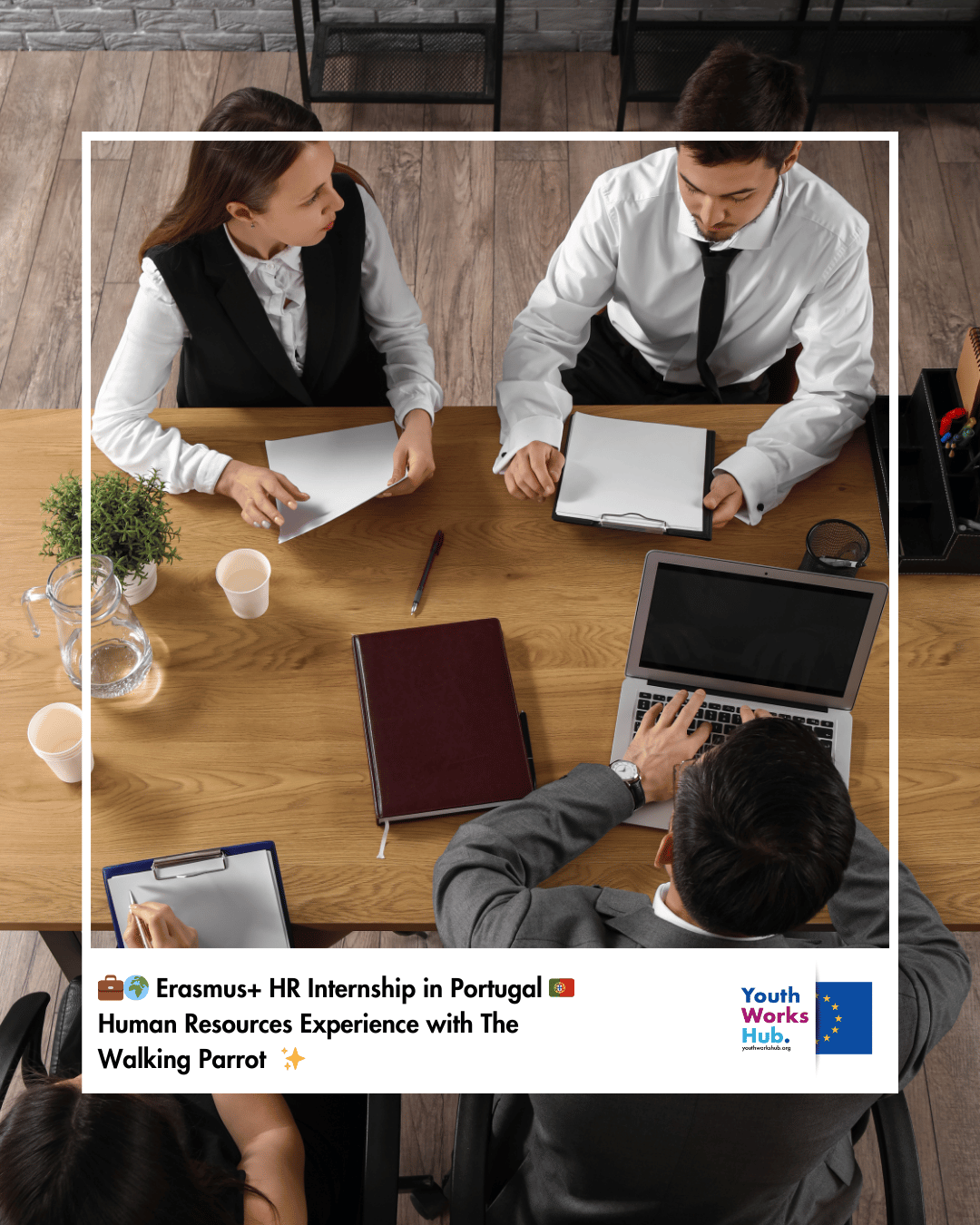 💼🌍 Erasmus+ HR Internship in Portugal 🇵🇹 | Human Resources Experience with The Walking Parrot ✨