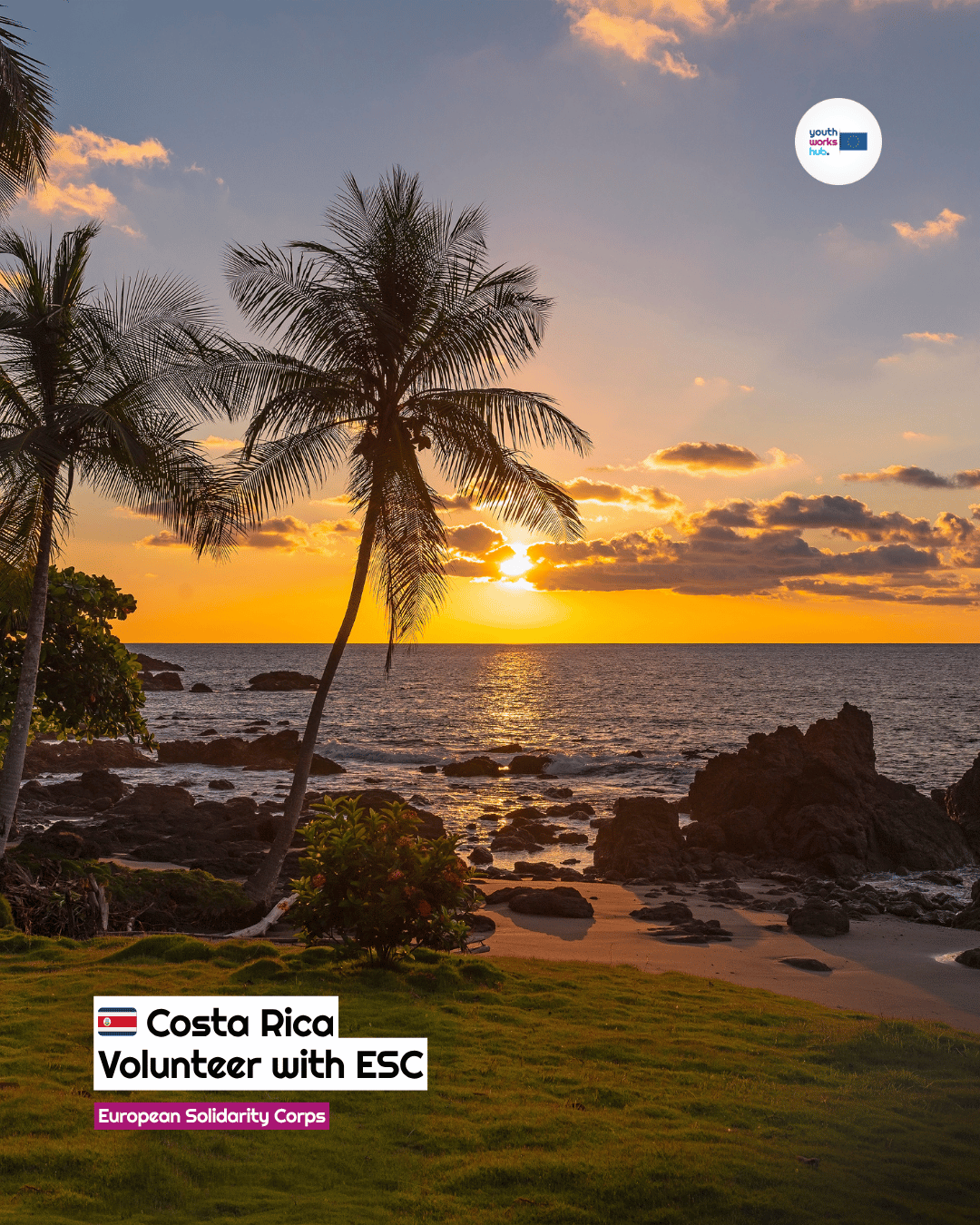 🇨🇷 ESC Humanitarian Aid in Costa Rica ☕️ Master Sustainable Coffee Farming in the Heart of the Rainforest 🌿