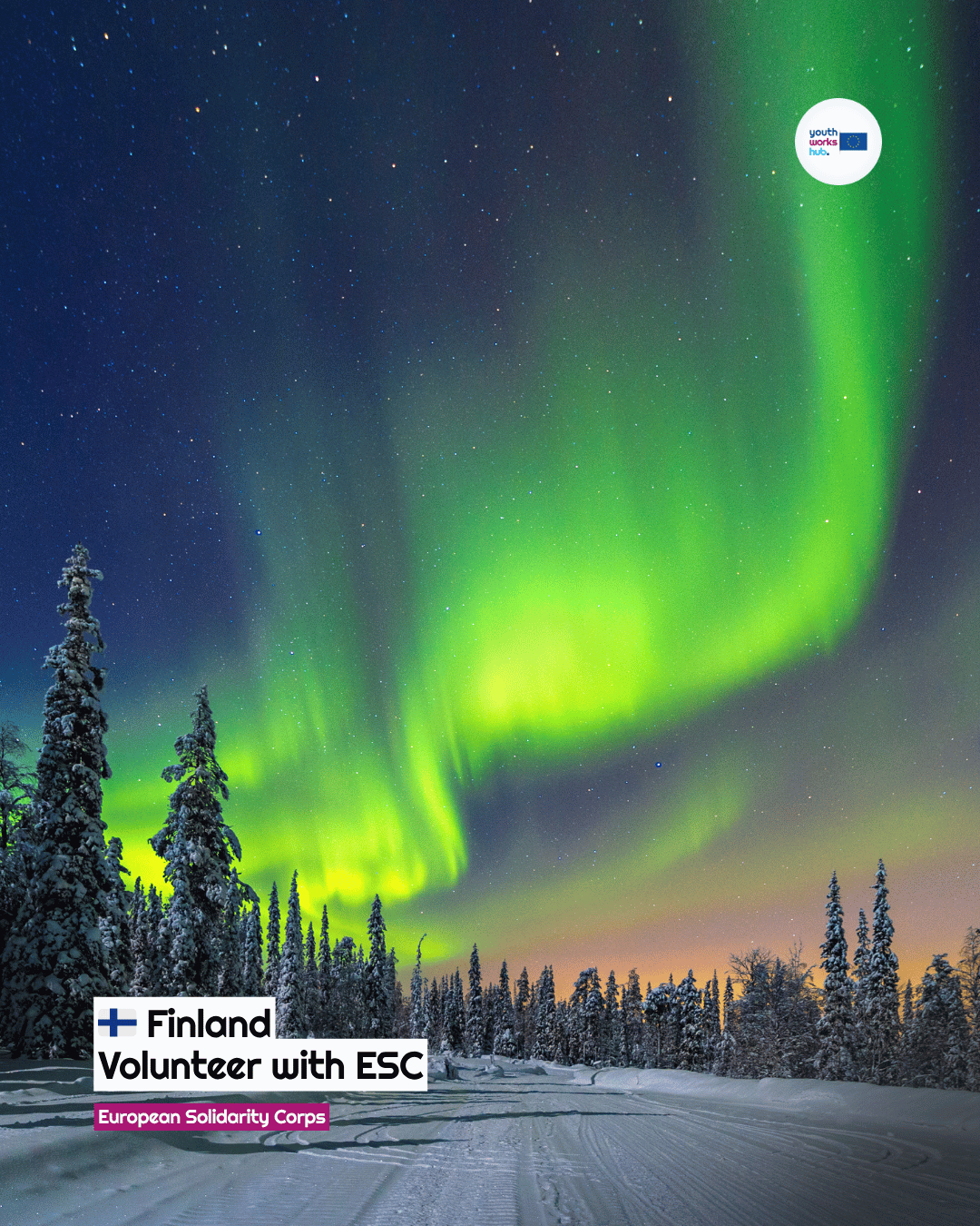 🇫🇮 ESC Volunteering in Finland 🏃 Support Multicultural Women in Sport & Wellbeing — Social Media, Project Coordination & Events in Helsinki 🌍