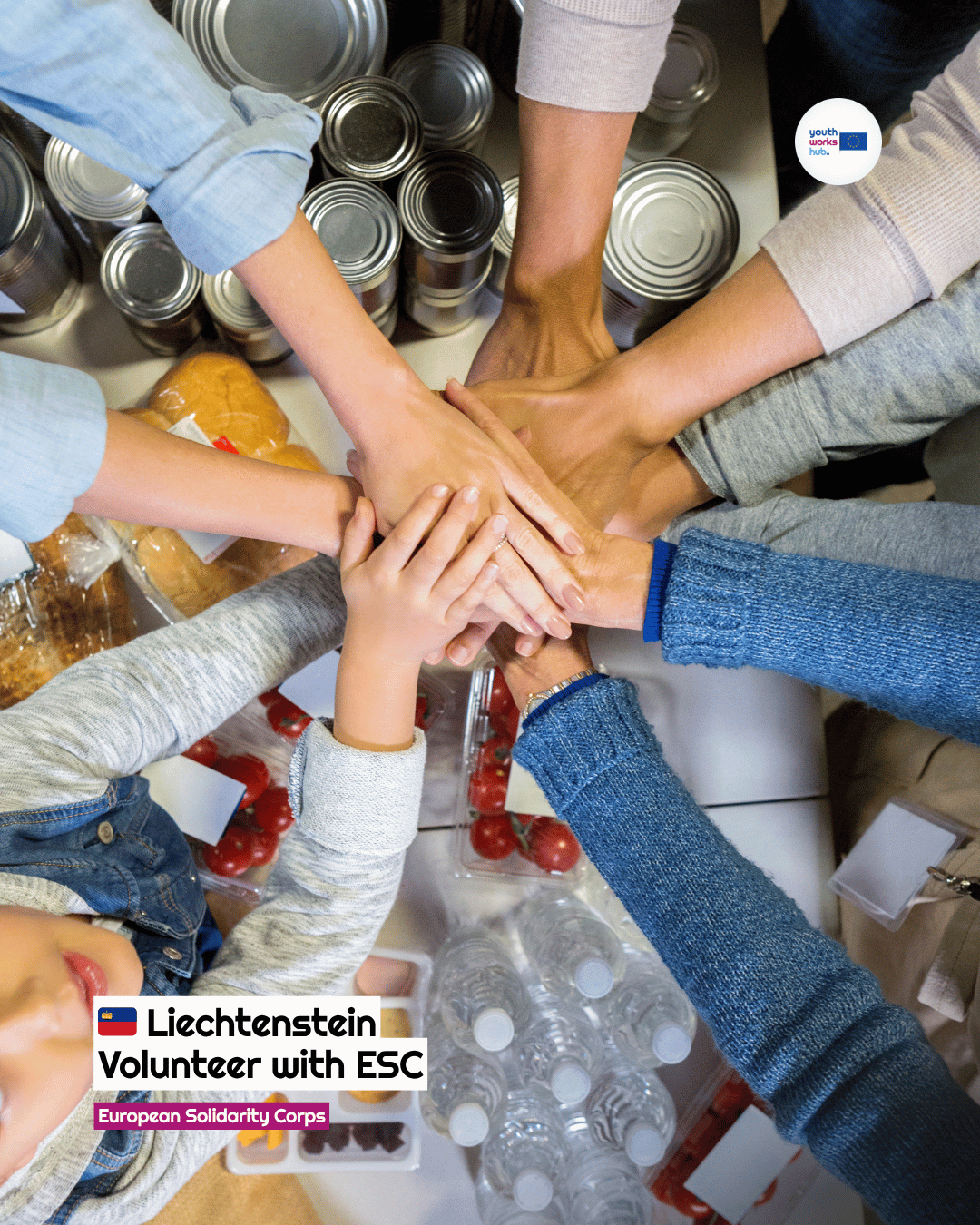 🇱🇮 ESC Volunteering in Liechtenstein 🎨 Social & Cultural Animation at a Youth Center in One of Europe's Smallest Countries 🎵