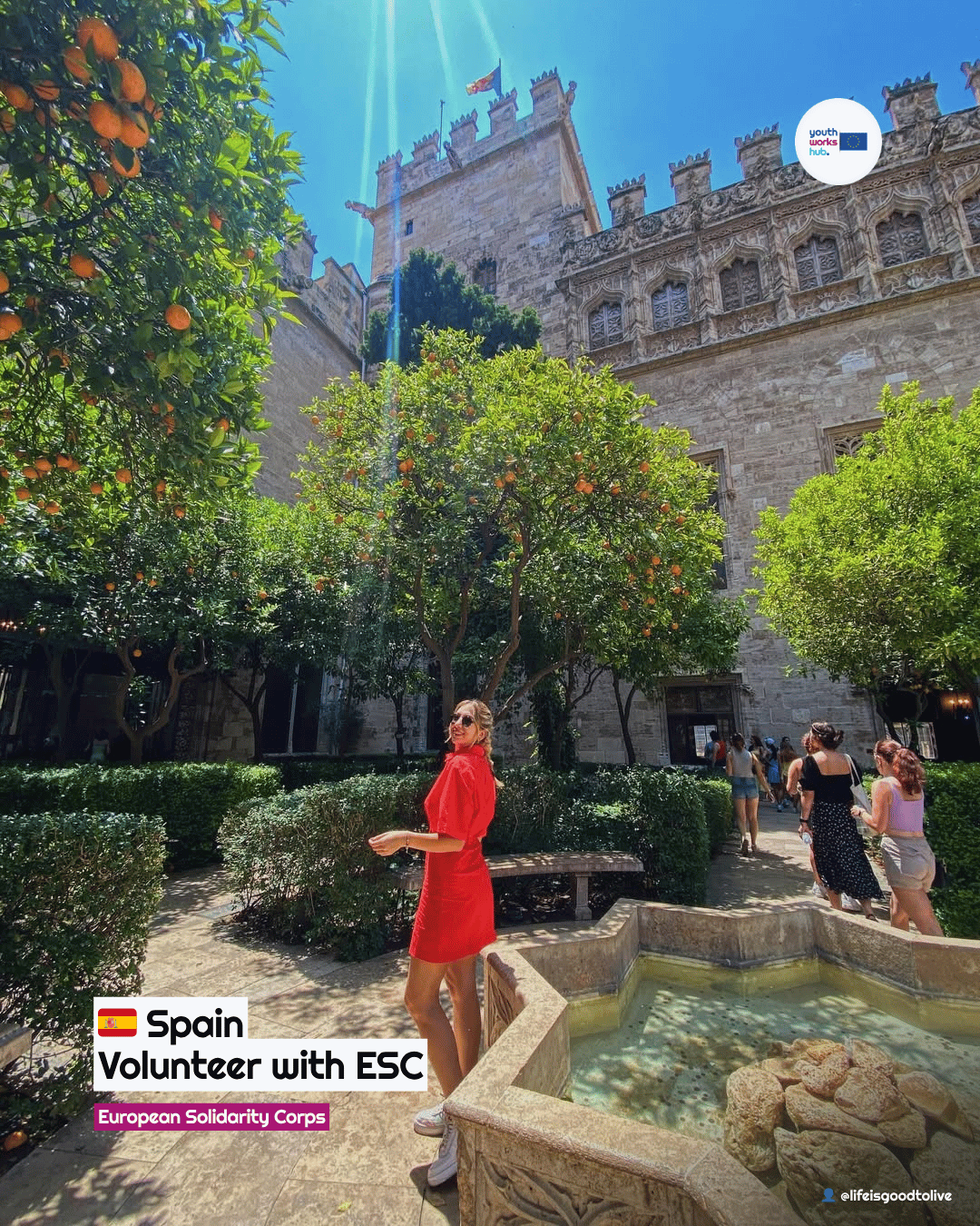 🇪🇸 ESC Volunteering in Spain 🌿 Environmental Communication, Social Media & Farm Life on the Catalan Coast 🎬