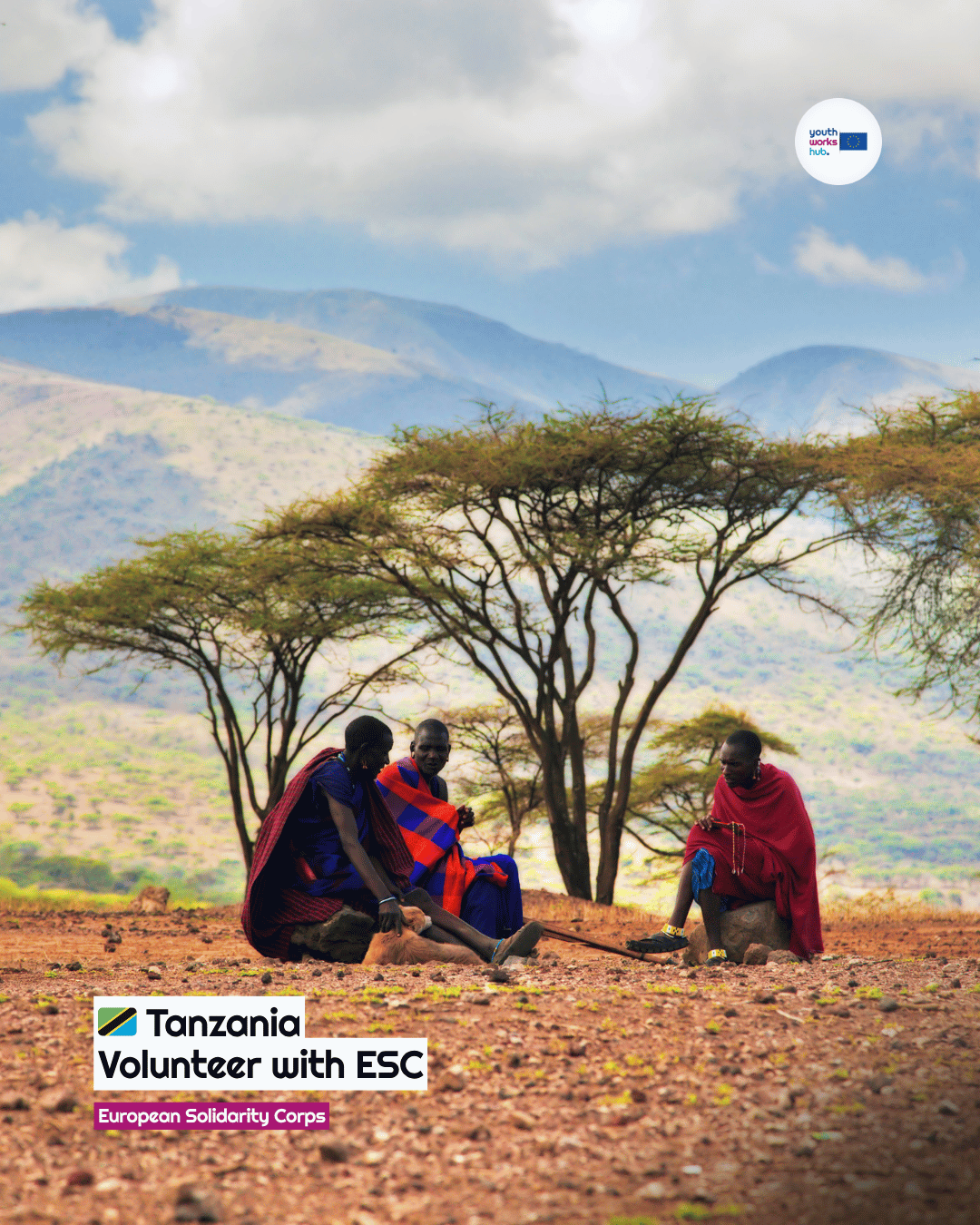 🇹🇿 ESC Volunteering in Tanzania 🌿 Build a Nursery, Restore Forests & Live in Nature with 15 Volunteers at Sadaani Reserve 🦁