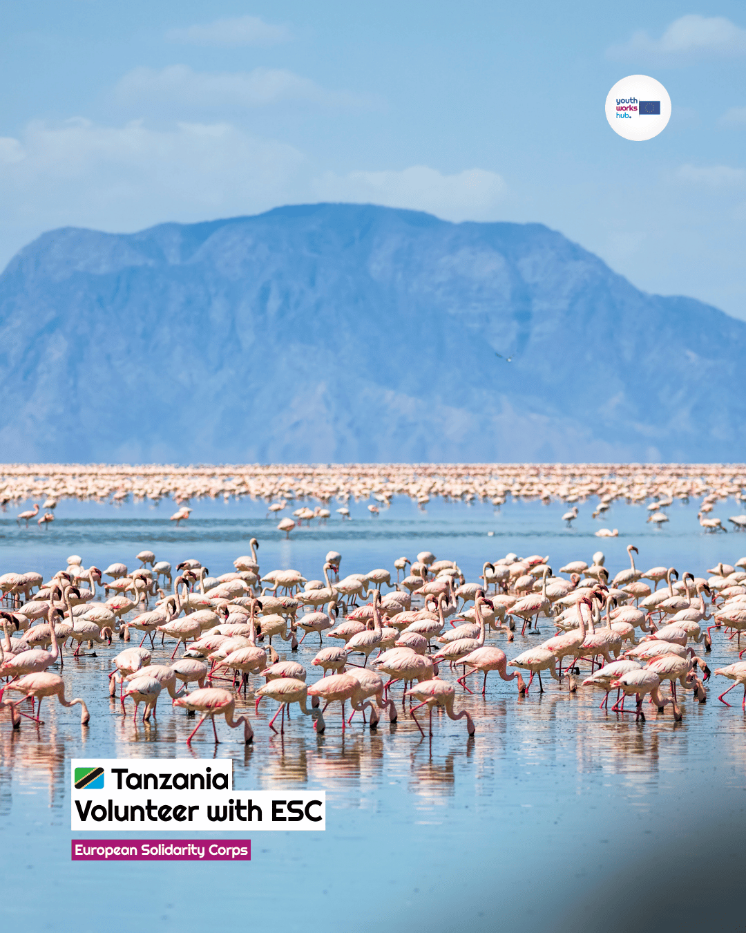 🇹🇿 ESC Volunteering in Tanzania 🌿 Build a Future and Restore Nature in Sadaani! 🏗️