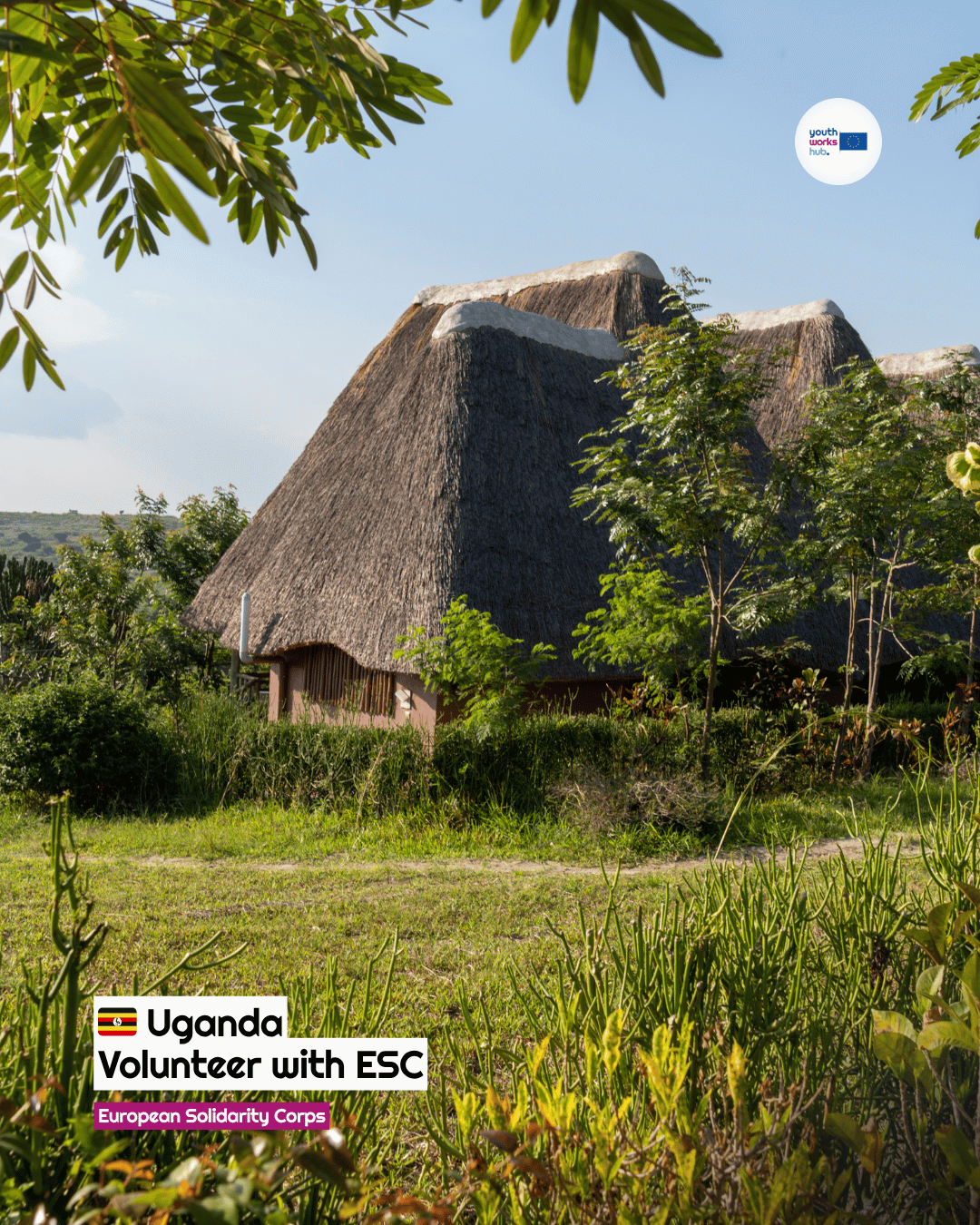 🇺🇬 ESC Volunteering in Uganda 🌍 Transform Rural Education & Empower Schools in Kampala! 📚