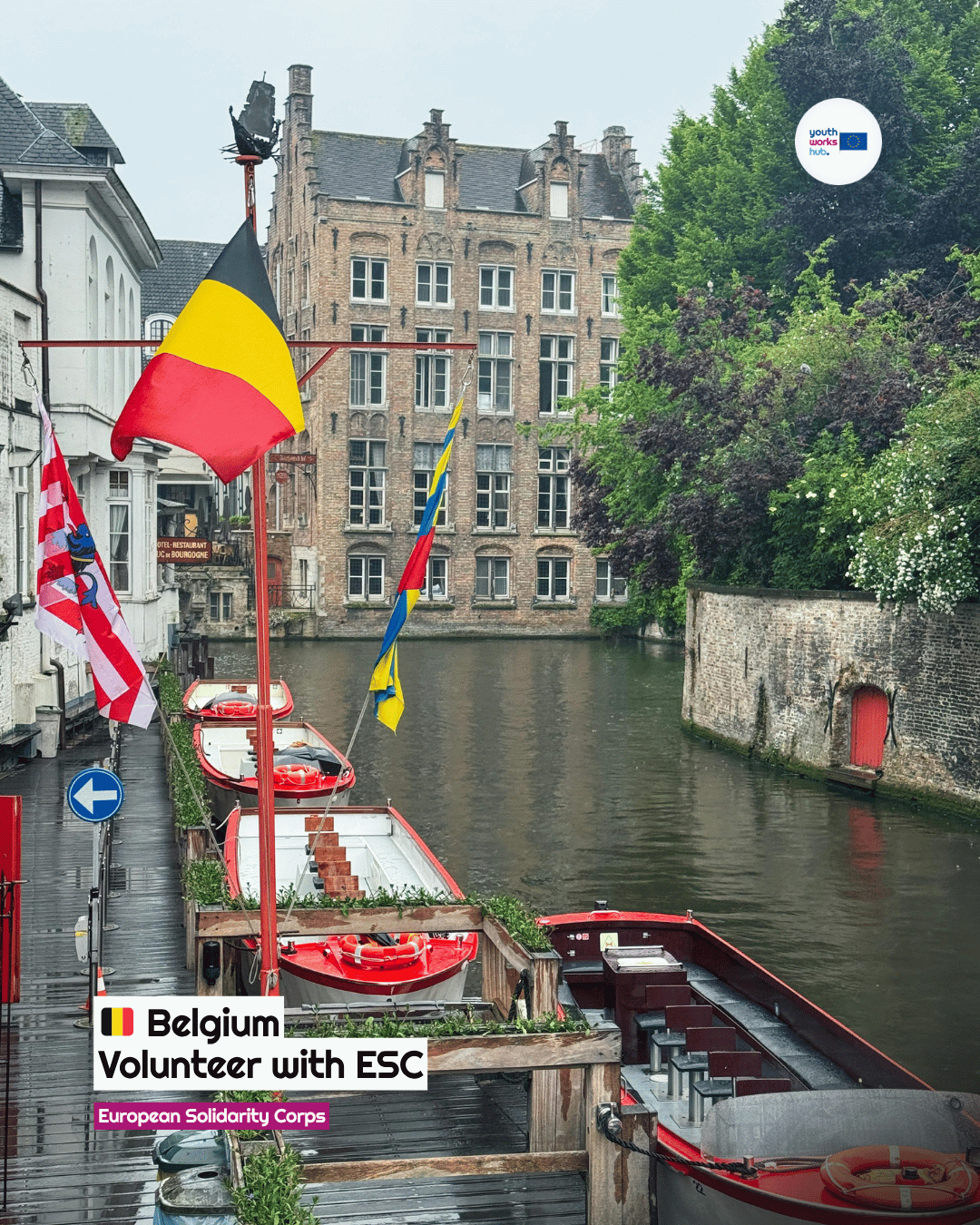 🇧🇪 ESC Volunteering in Belgium 🚀 Promoting Mobility Among Young People — Camps, Exchanges & Awareness 🎨