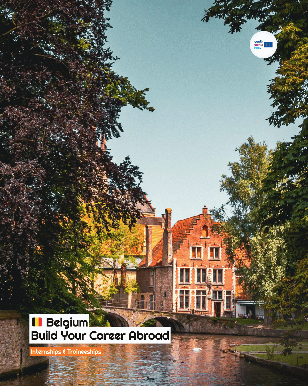 🇧🇪 Internship in Belgium ⚡ Energy & Hydrogen Policy at an Industry Association 🌱 — Paid