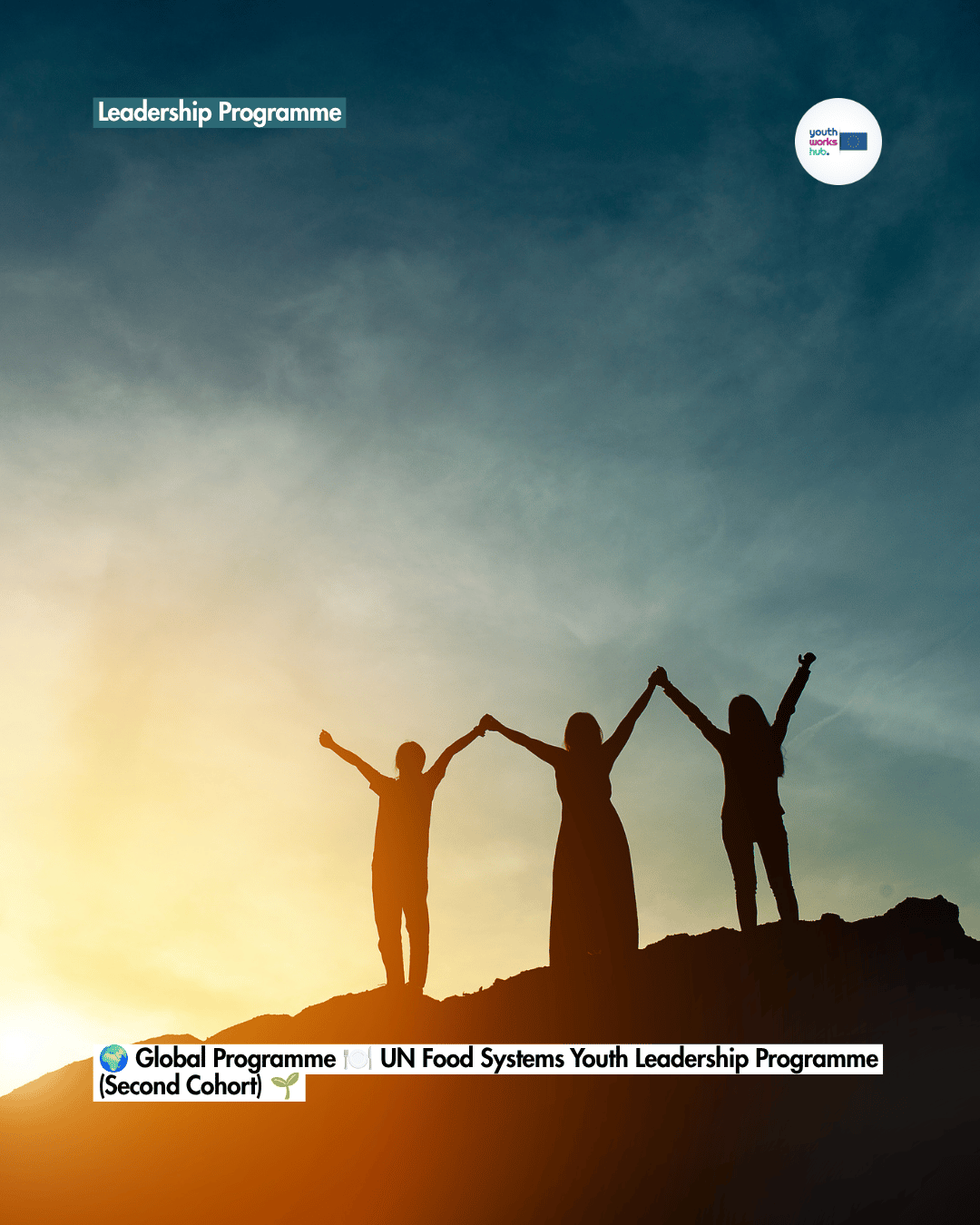 🌍 Global Programme 🍽️ UN Food Systems Youth Leadership Programme (Second Cohort) 🌱