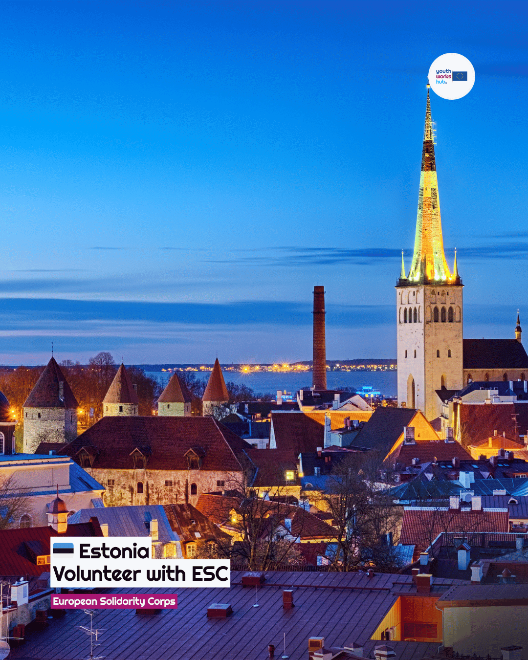 🇪🇪 ESC Volunteering in Estonia 🌊 Baltic Sea Summer Team — Seashore Cleaning & Sustainability Workshops 🌱