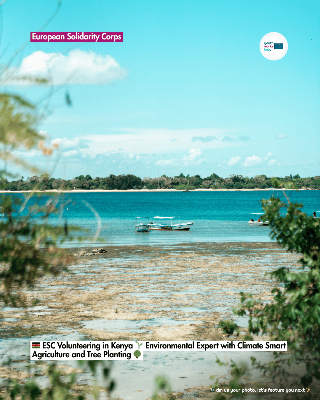 🇰🇪 ESC Volunteering in Kenya 🌱 Environmental Expert with Climate Smart Agriculture and Tree Planting 🌳