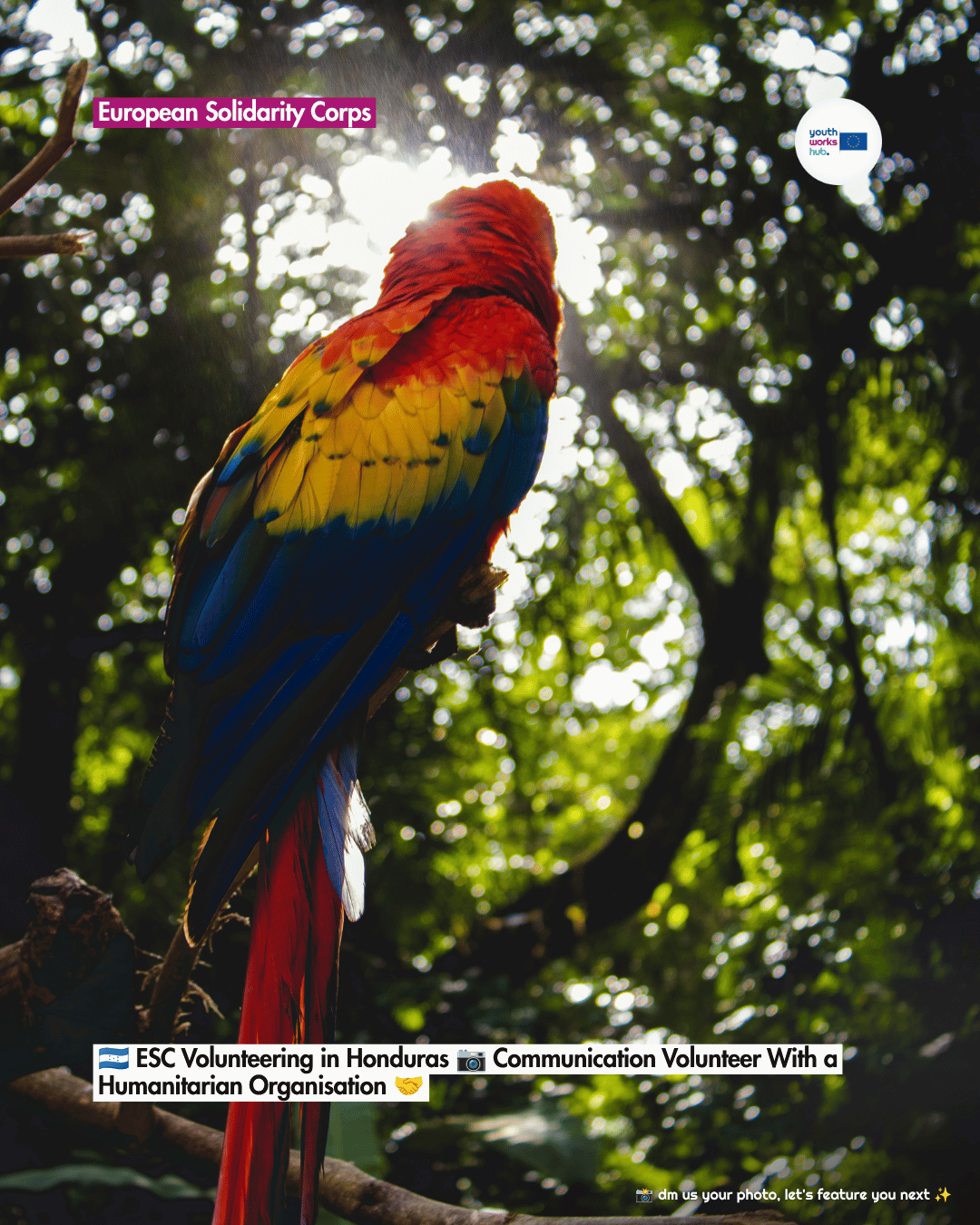 🇭🇳 ESC Volunteering in Honduras 📷 Communication Volunteer With a Humanitarian Organisation 🤝