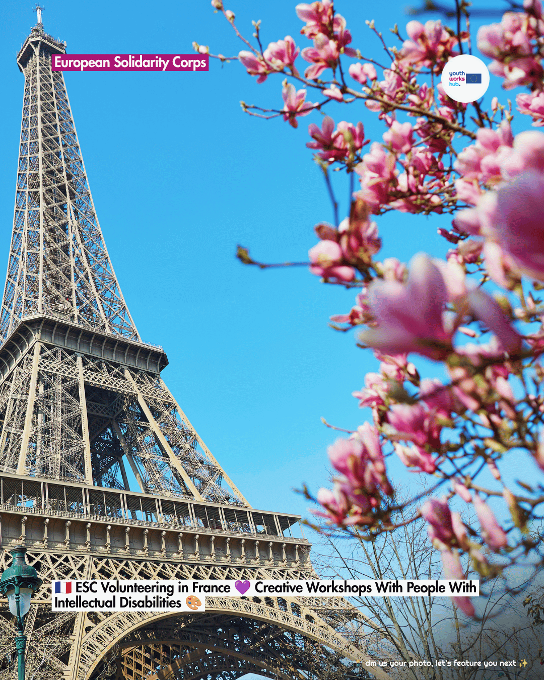🇫🇷 ESC Volunteering in France 💜 Creative Workshops With People With Intellectual Disabilities 🎨