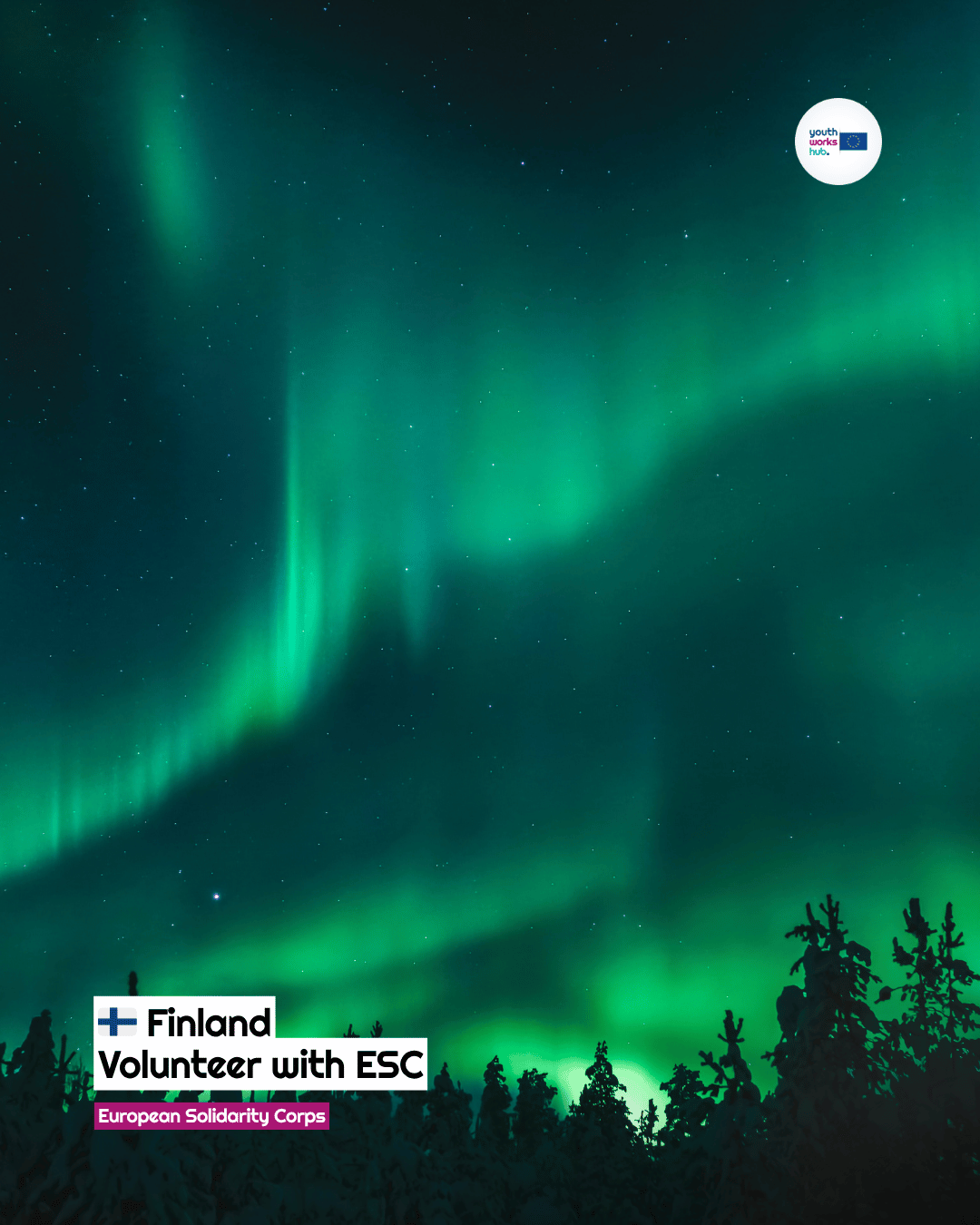 🇫🇮 ESC Volunteering in Finland 🌲 Feel the Forest at Metsäkartano — Outdoor Education Centre 🪵