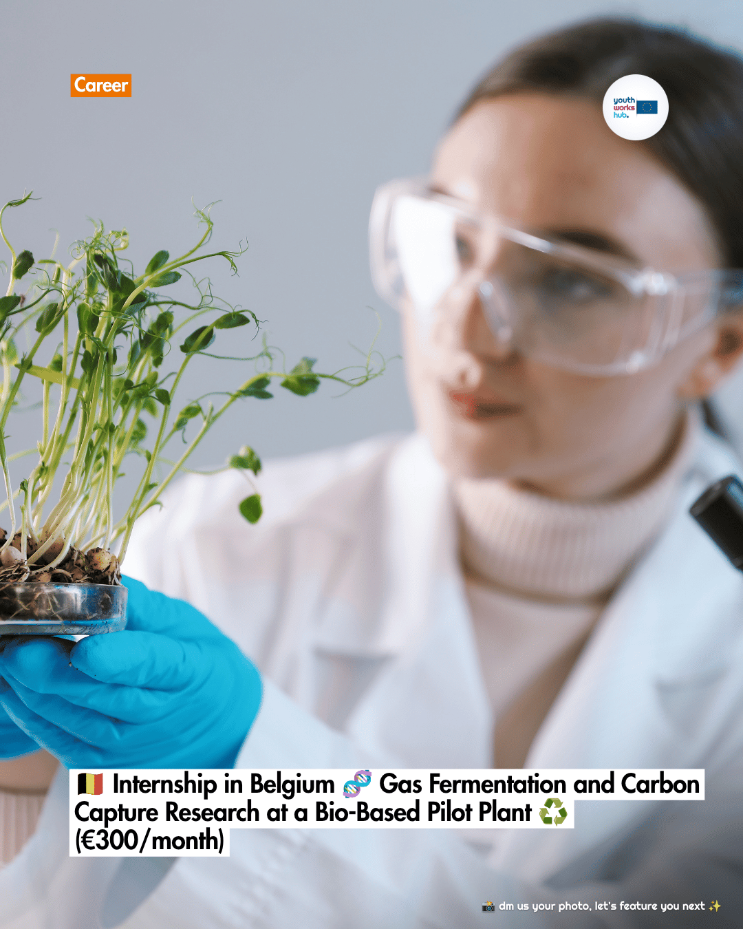 🇧🇪 Internship in Belgium 🧬 Gas Fermentation and Carbon Capture Research at a Bio-Based Pilot Plant ♻️ (€300/month)