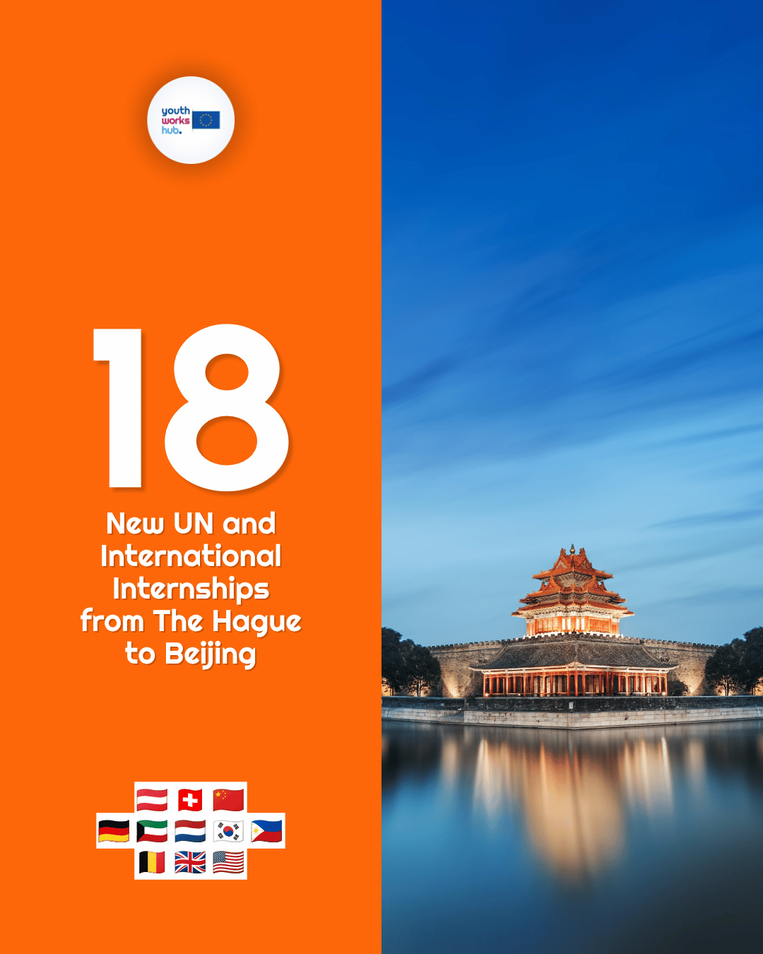 💼 18 New UN Internships from The Hague to Beijing — the OPCW, UNICEF Education in China & Data Analysis at the UN Library in New York