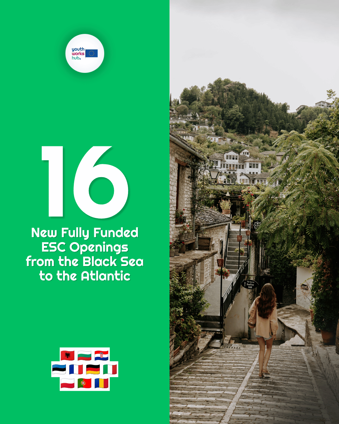 🌊 16 New Fully Funded ESC Openings from the Black Sea to the Atlantic — Nature-Park Conservation in Croatia, Intercultural Camps in Stuttgart & a Dog Shelter in Italy