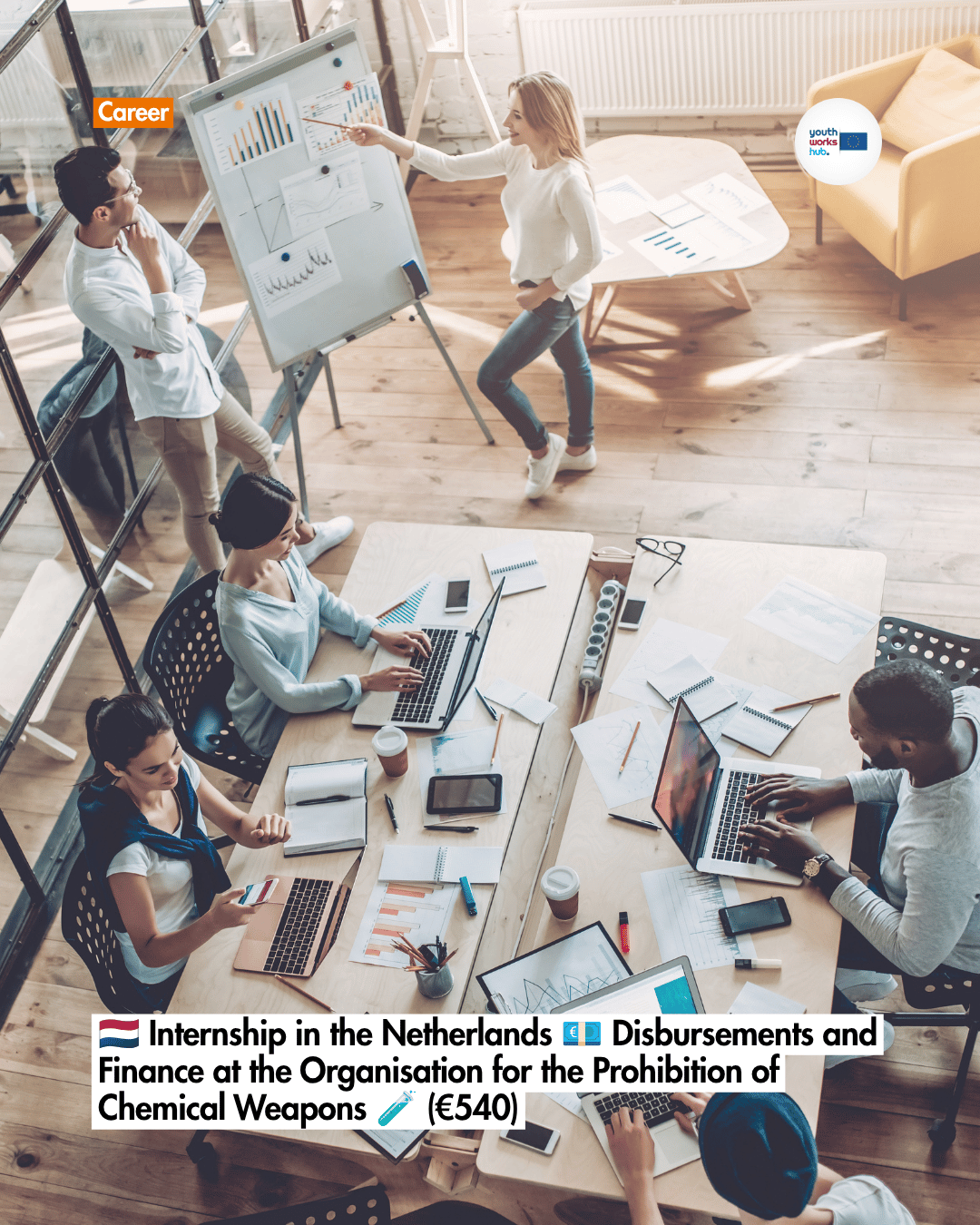 🇳🇱 Internship in the Netherlands 💶 Disbursements and Finance at the Organisation for the Prohibition of Chemical Weapons 🧪 (€540)