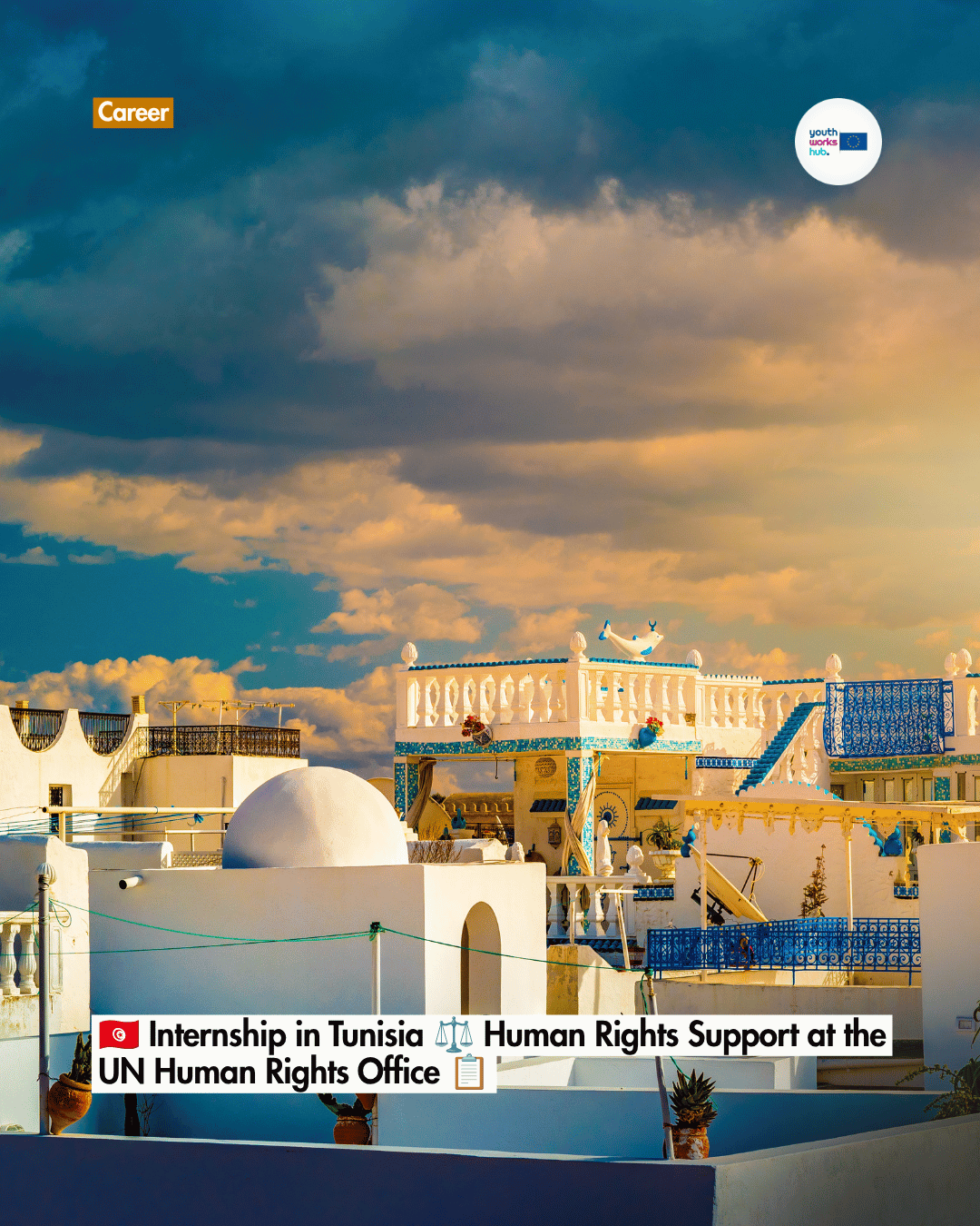 🇹🇳 Internship in Tunisia ⚖️ Human Rights Support at the UN Human Rights Office 📋