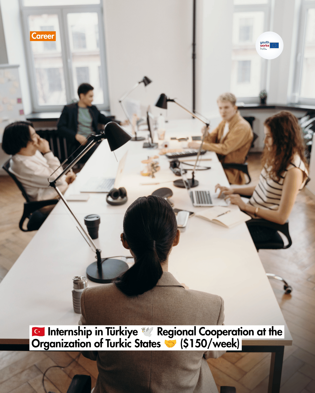 🇹🇷 Internship in Türkiye 🕊️ Regional Cooperation at the Organization of Turkic States 🤝 ($150/week)