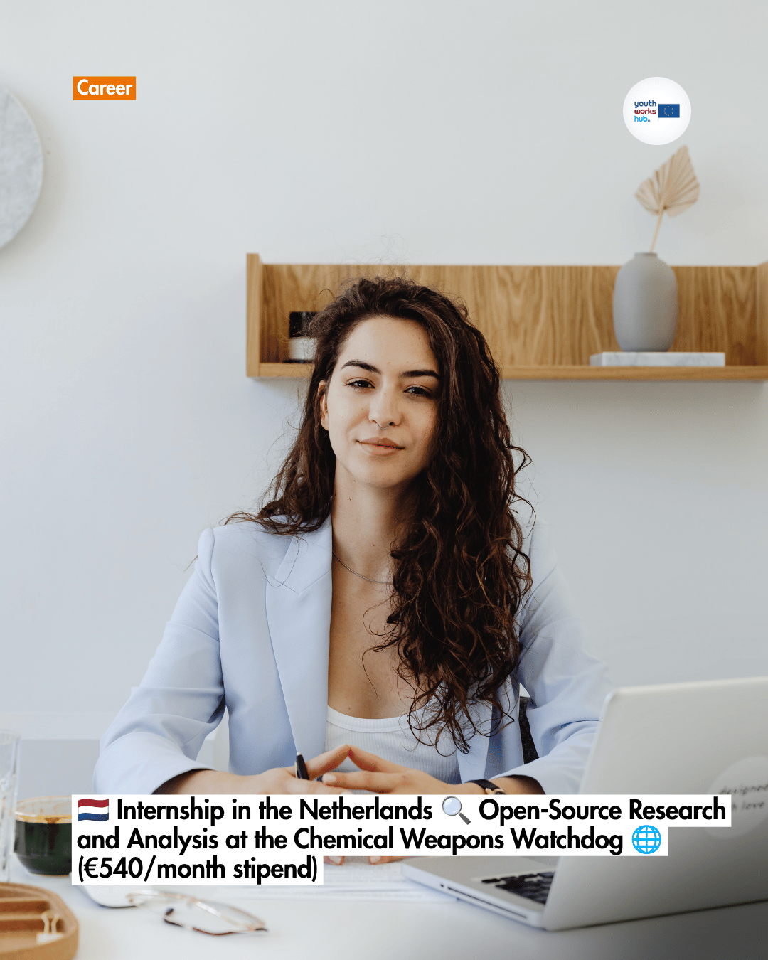 🇳🇱 Internship in the Netherlands 🔍 Open-Source Research and Analysis at the Chemical Weapons Watchdog 🌐 (€540/month stipend)