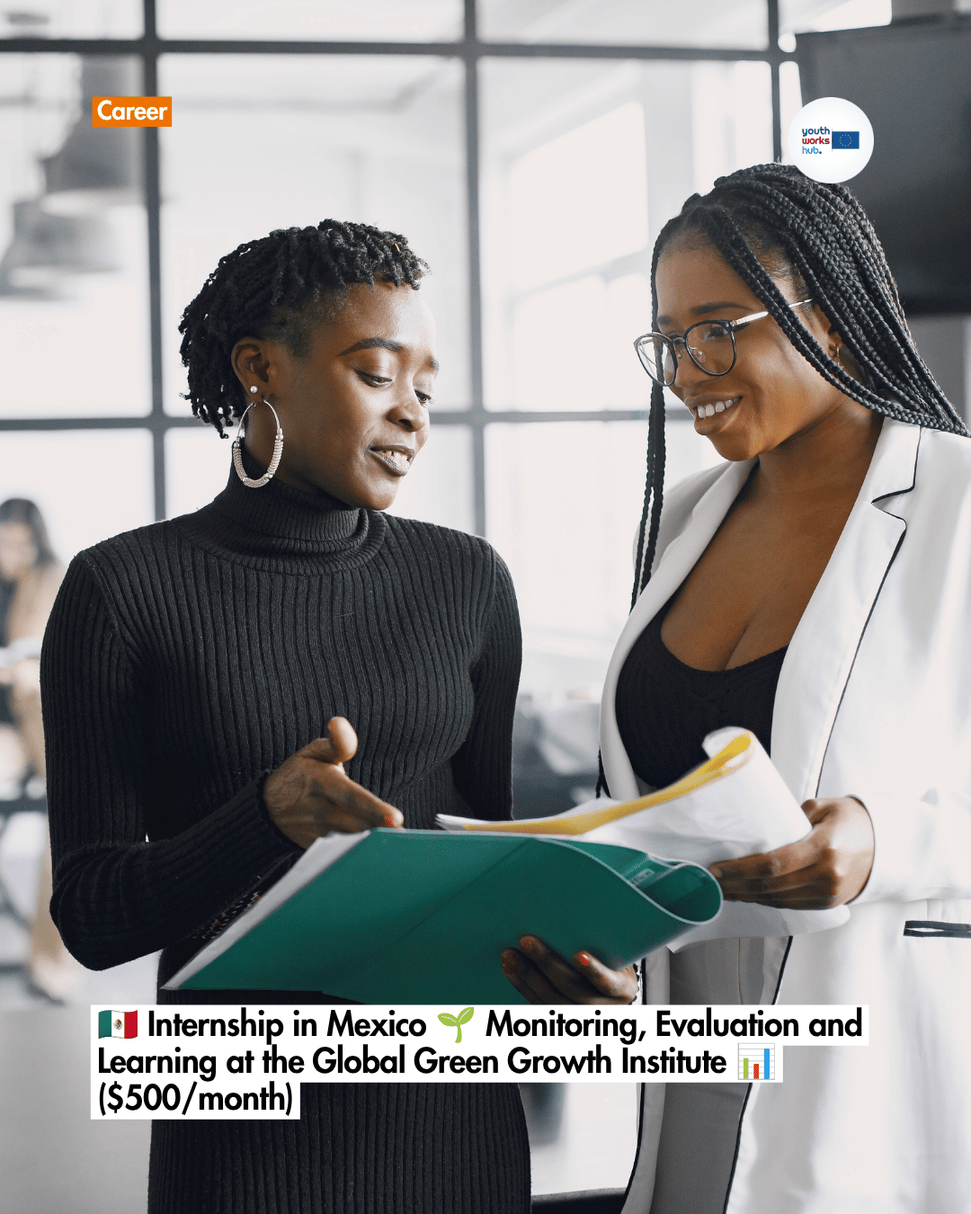 🇲🇽 Internship in Mexico 🌱 Monitoring, Evaluation and Learning at the Global Green Growth Institute 📊 ($500/month)
