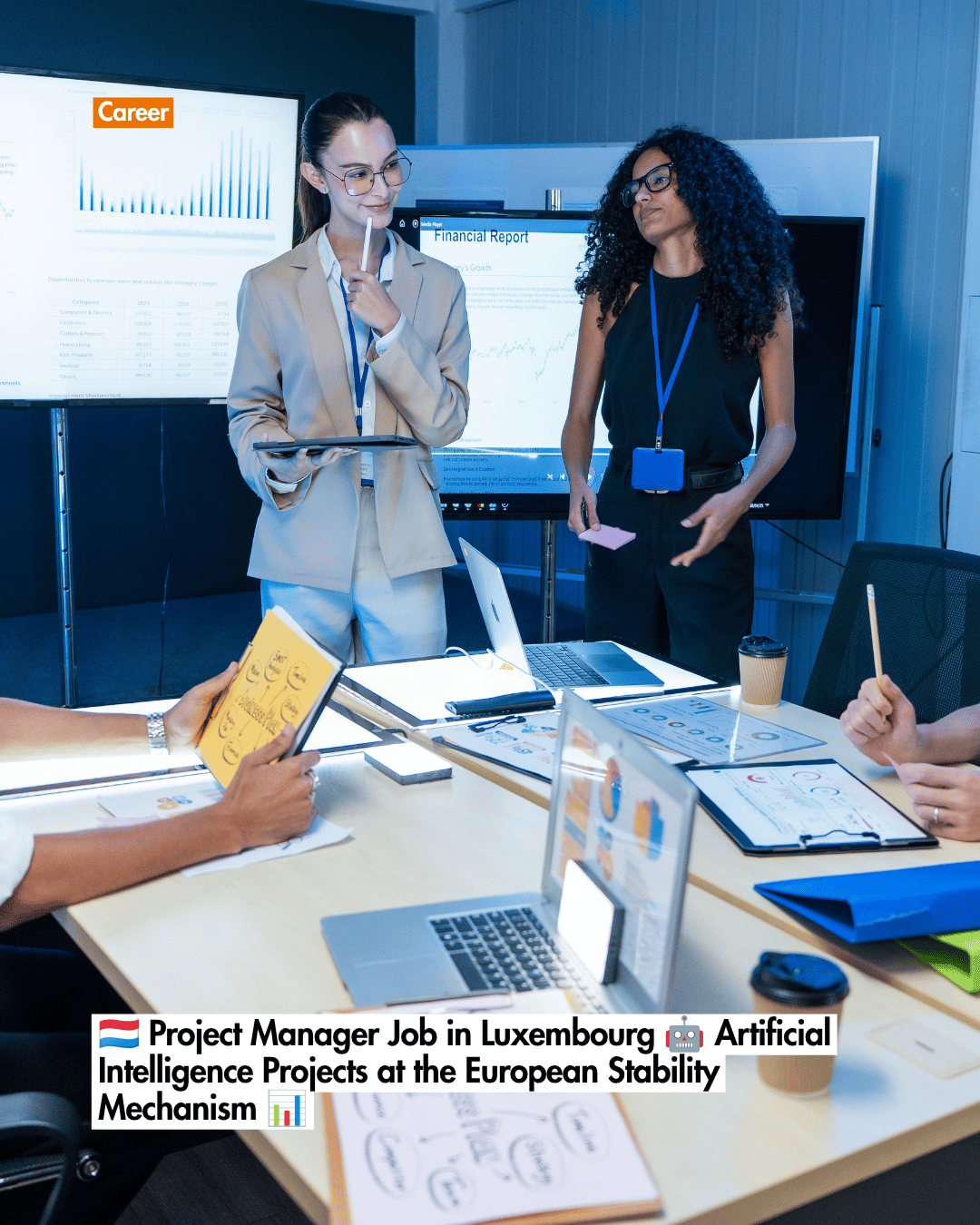 🇱🇺 Project Manager Job in Luxembourg 🤖 Artificial Intelligence Projects at the European Stability Mechanism 📊