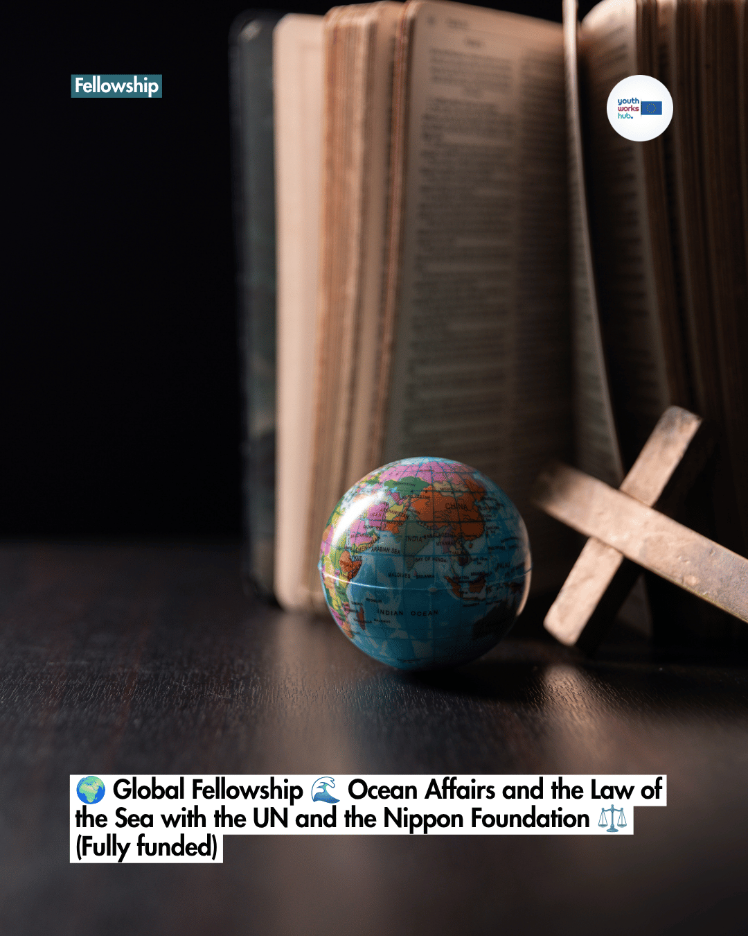 🌍 Global Fellowship 🌊 Ocean Affairs and the Law of the Sea with the UN and the Nippon Foundation ⚖️ (Fully funded)