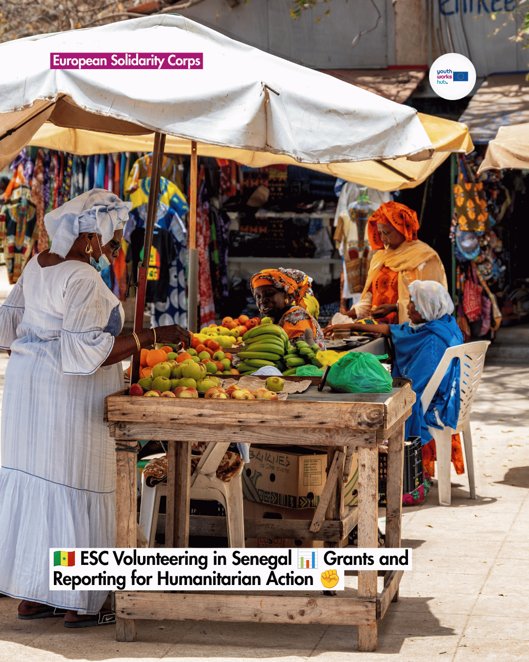 🇸🇳 ESC Volunteering in Senegal 📊 Grants and Reporting for Humanitarian Action ✊