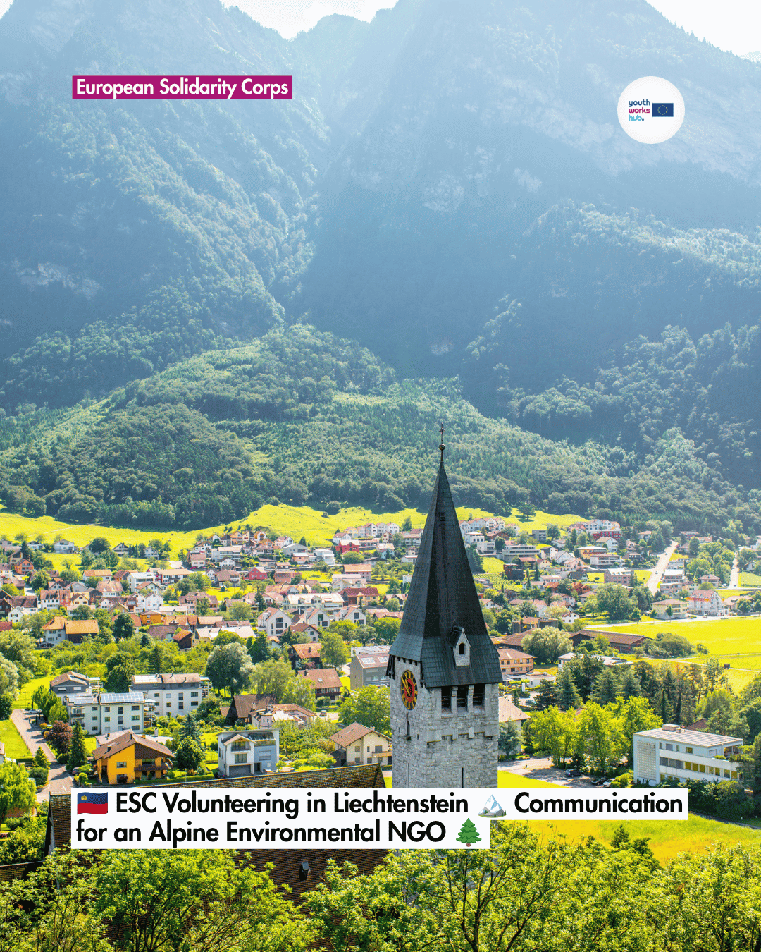 🇱🇮 ESC Volunteering in Liechtenstein 🏔️ Communication for an Alpine Environmental NGO 🌲