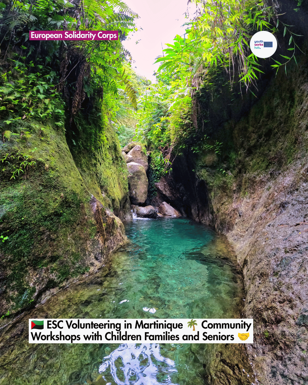 🇲🇶 ESC Volunteering in Martinique 🌴 Community Workshops with Children Families and Seniors 🤝
