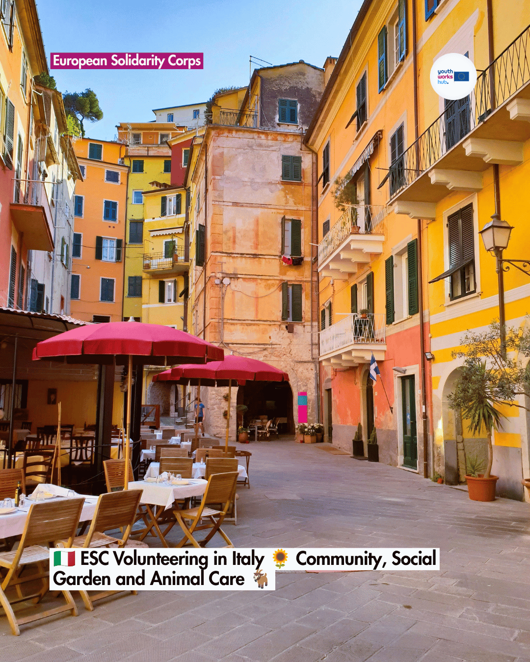 🇮🇹 ESC Volunteering in Italy 🌻 Community, Social Garden and Animal Care 🐐