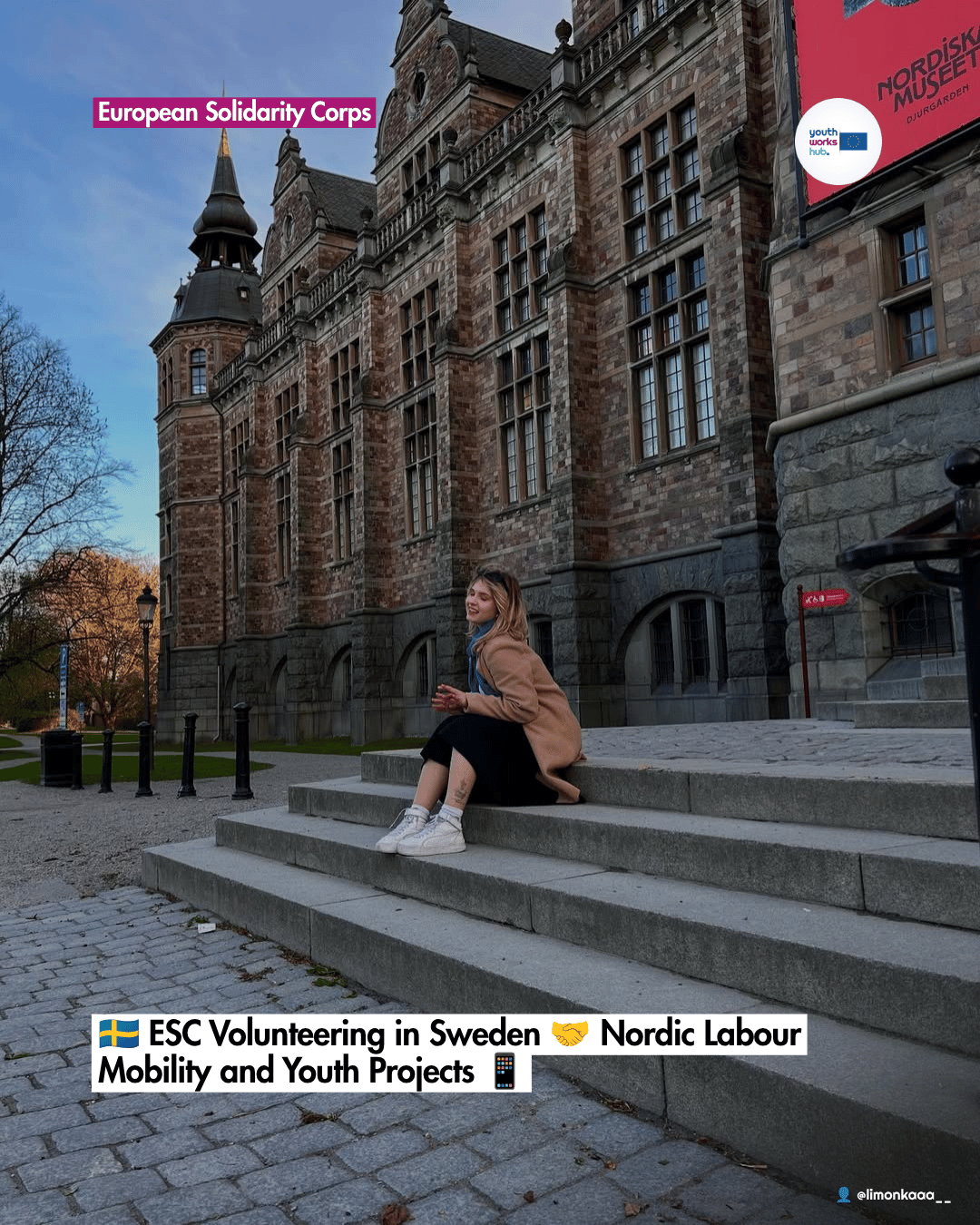 🇸🇪 ESC Volunteering in Sweden 🤝 Nordic Labour Mobility and Youth Projects 📱