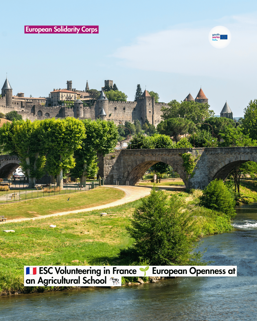 🇫🇷 ESC Volunteering in France 🌱 European Openness at an Agricultural School 🐄