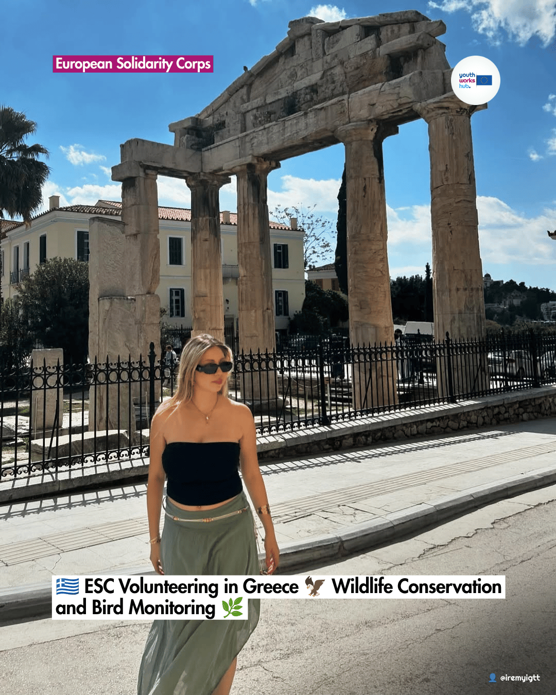 🇬🇷 ESC Volunteering in Greece 🦅 Wildlife Conservation and Bird Monitoring 🌿