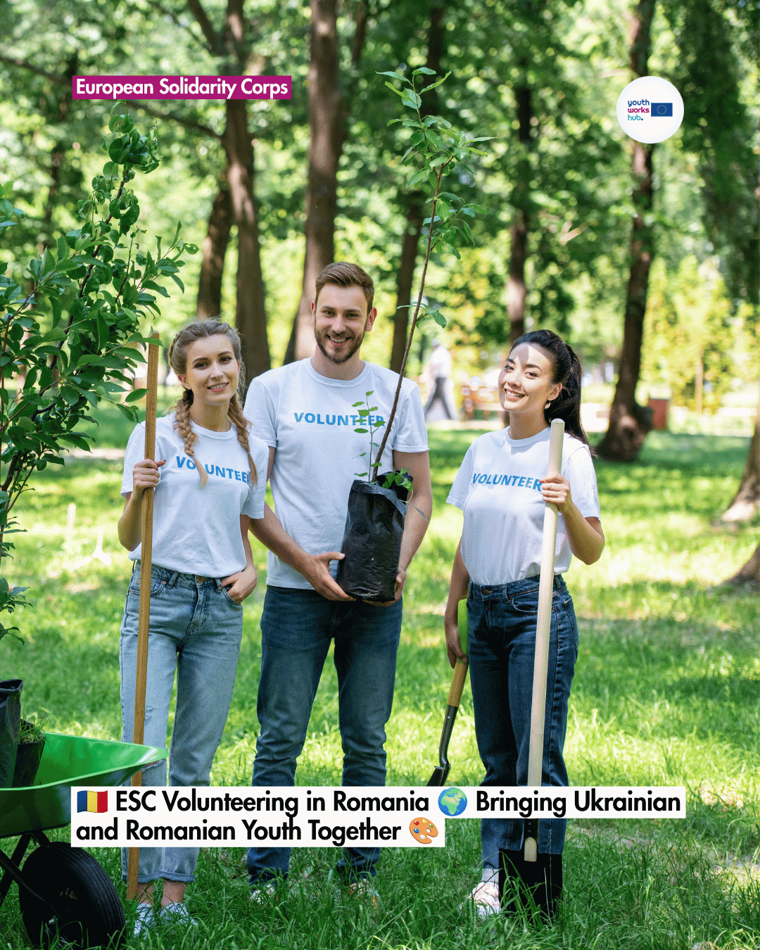 🇷🇴 ESC Volunteering in Romania 🌍 Bringing Ukrainian and Romanian Youth Together 🎨