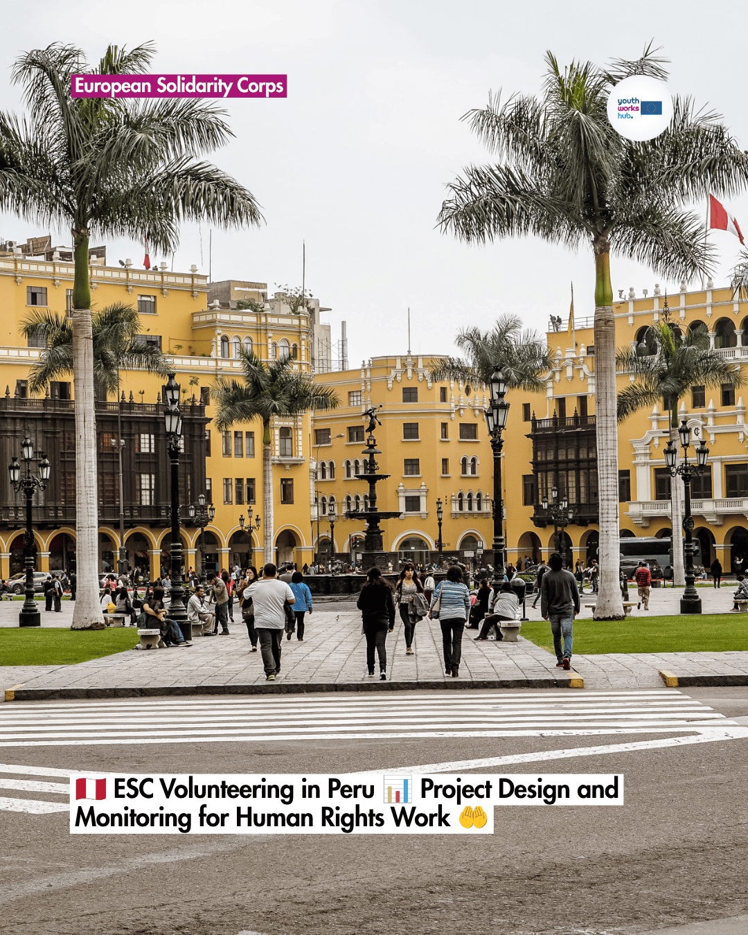 🇵🇪 ESC Volunteering in Peru 📊 Project Design and Monitoring for Human Rights Work 🤲