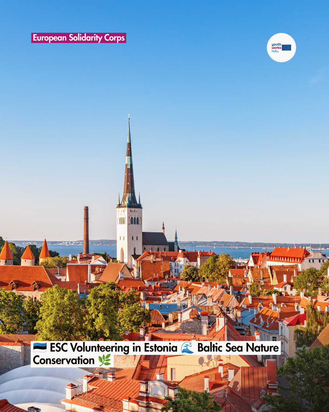 🇪🇪 ESC Volunteering in Estonia 🌊 Baltic Sea Nature Conservation 🌿