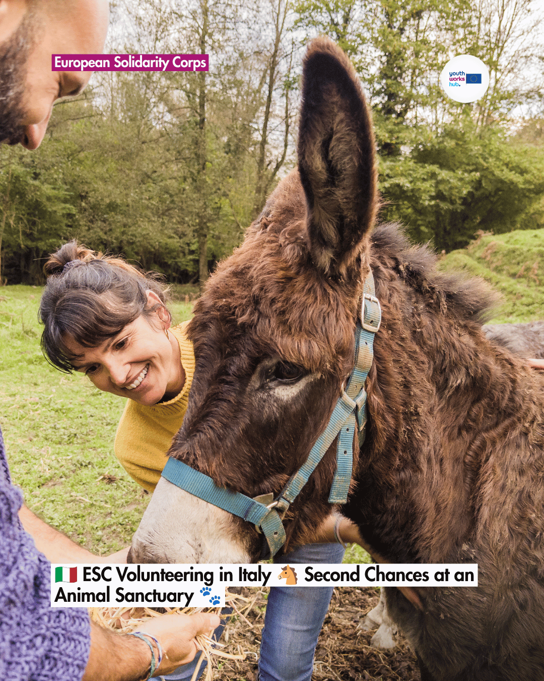 🇮🇹 ESC Volunteering in Italy 🐖 Second Chances at an Animal Sanctuary 🐾