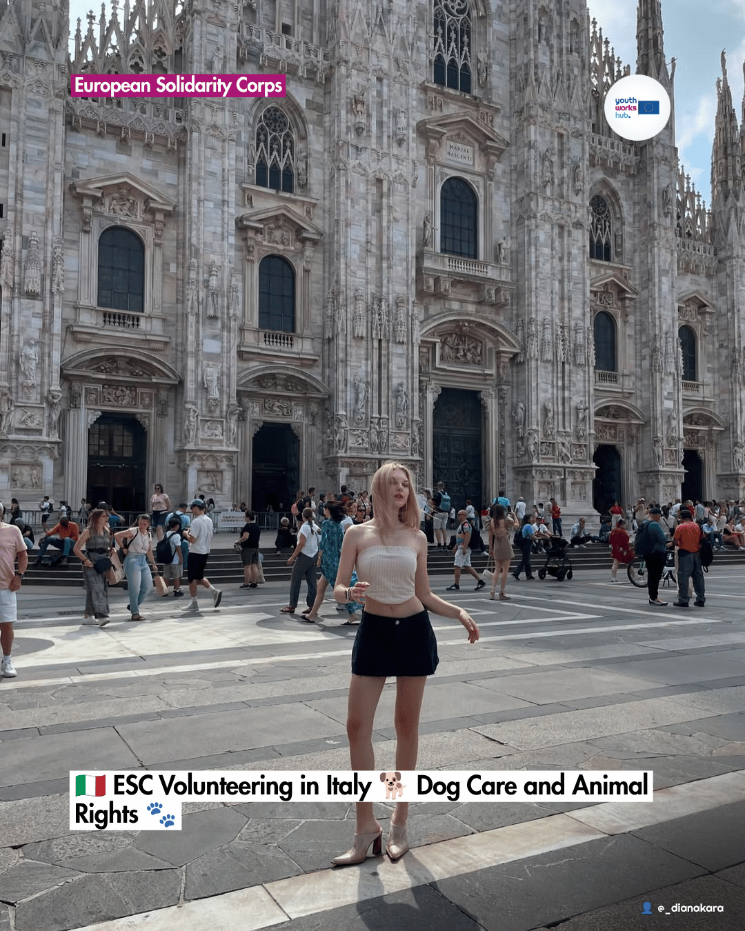 🇮🇹 ESC Volunteering in Italy 🐕 Dog Care and Animal Rights 🐾