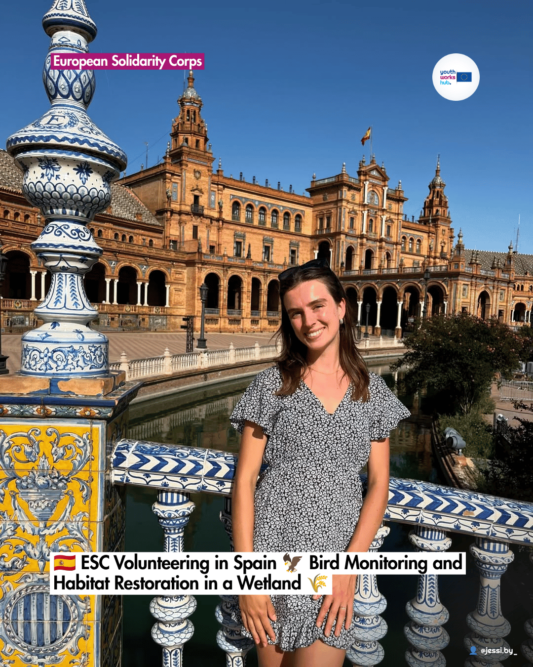 🇪🇸 ESC Volunteering in Spain 🦅 Bird Monitoring and Habitat Restoration in a Wetland 🌾