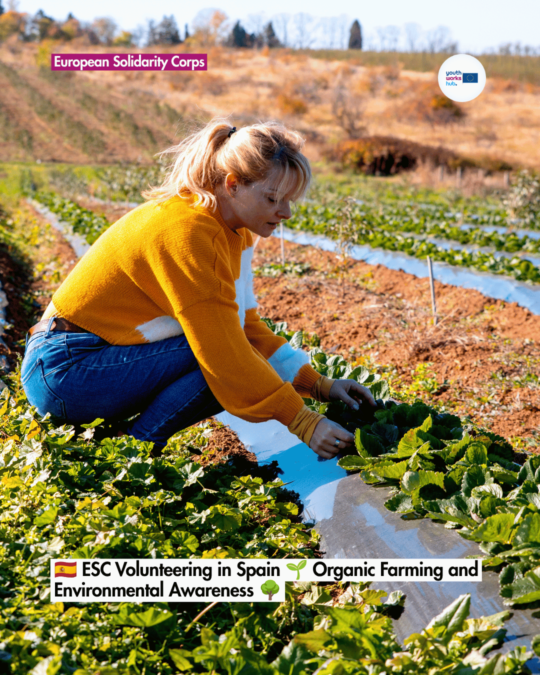 🇪🇸 ESC Volunteering in Spain 🌱 Organic Farming and Environmental Awareness 🌳