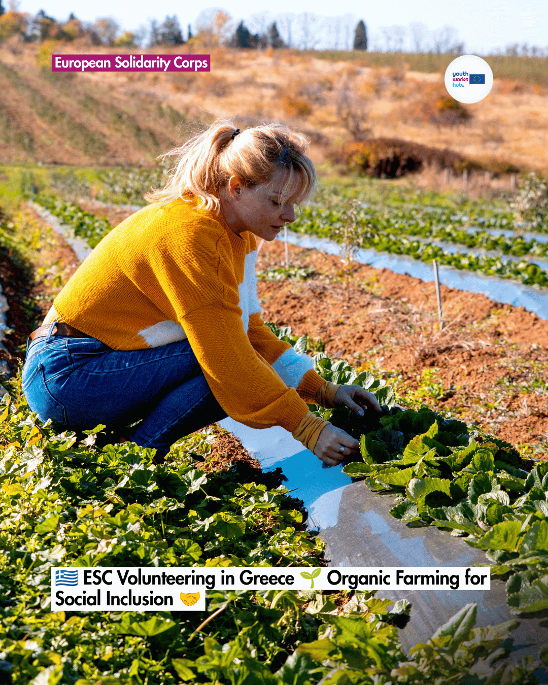 🇬🇷 ESC Volunteering in Greece 🌱 Organic Farming for Social Inclusion 🤝