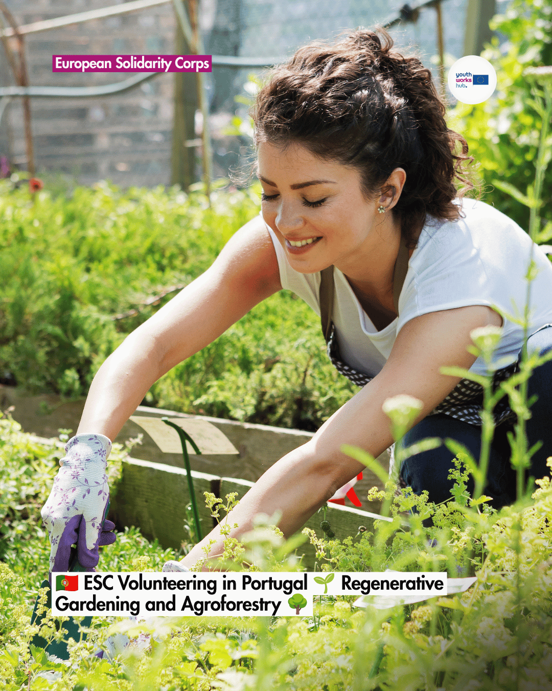 🇵🇹 ESC Volunteering in Portugal 🌱 Regenerative Gardening and Agroforestry 🌳