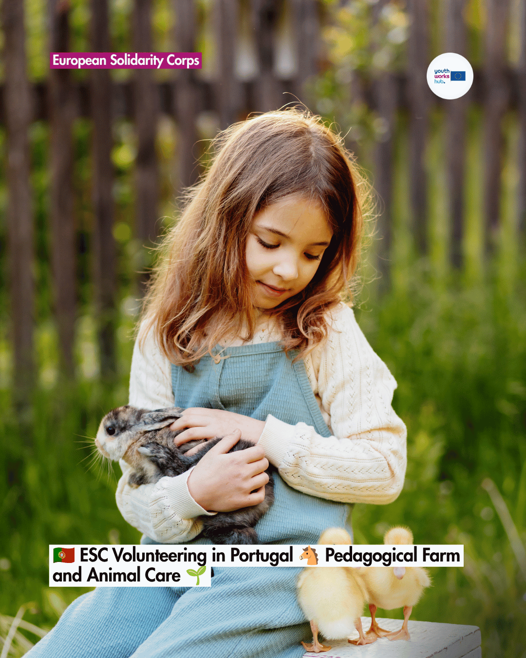 🇵🇹 ESC Volunteering in Portugal 🐴 Pedagogical Farm and Animal Care 🌱