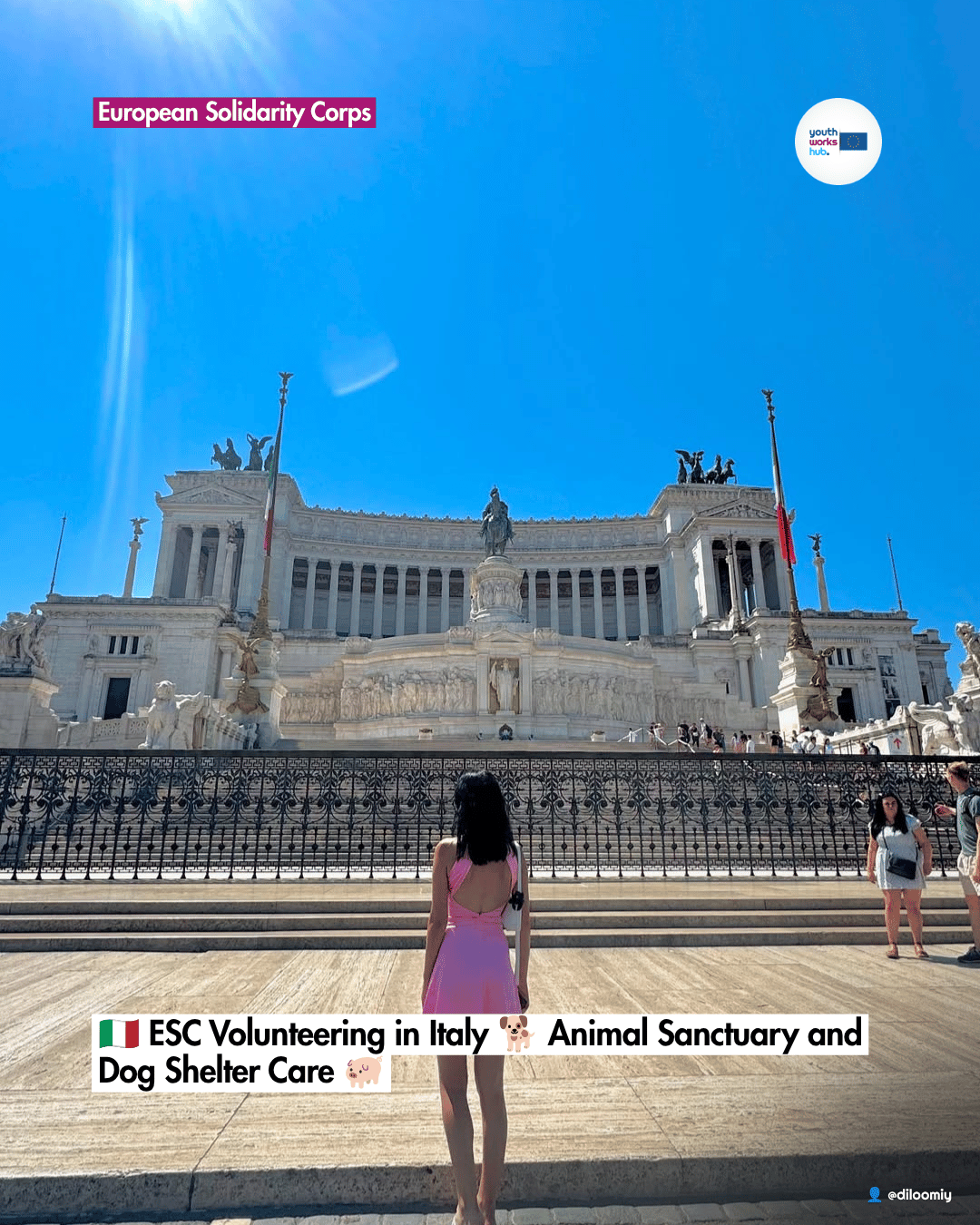 🇮🇹 ESC Volunteering in Italy 🐕 Animal Sanctuary and Dog Shelter Care 🐖