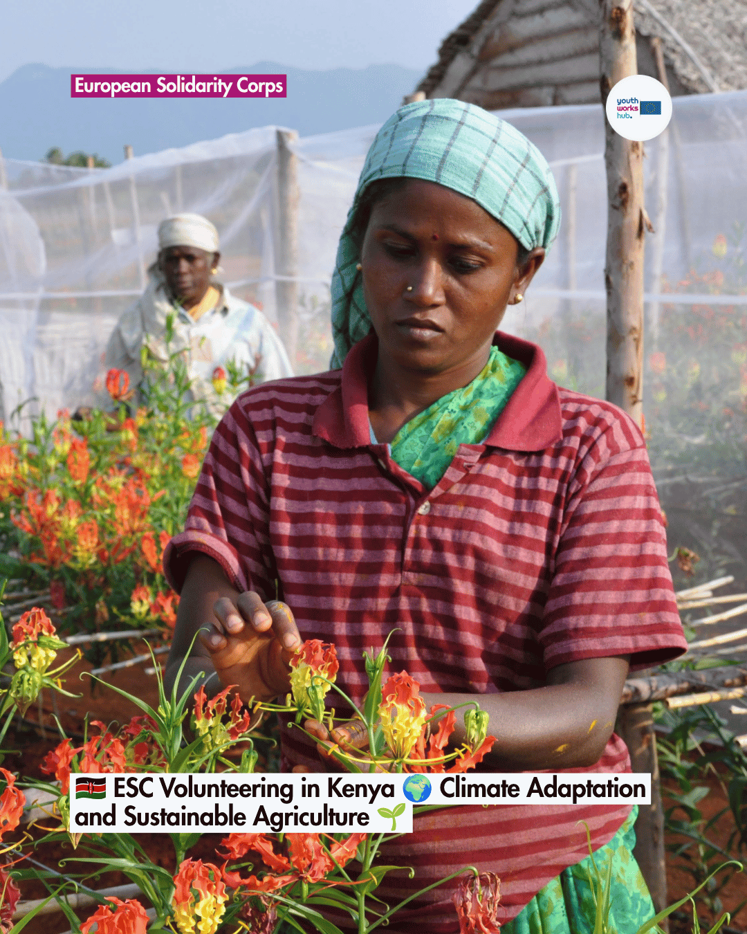 🇰🇪 ESC Volunteering in Kenya 🌱 Sustainable Farming and Environmental Expert 🌾