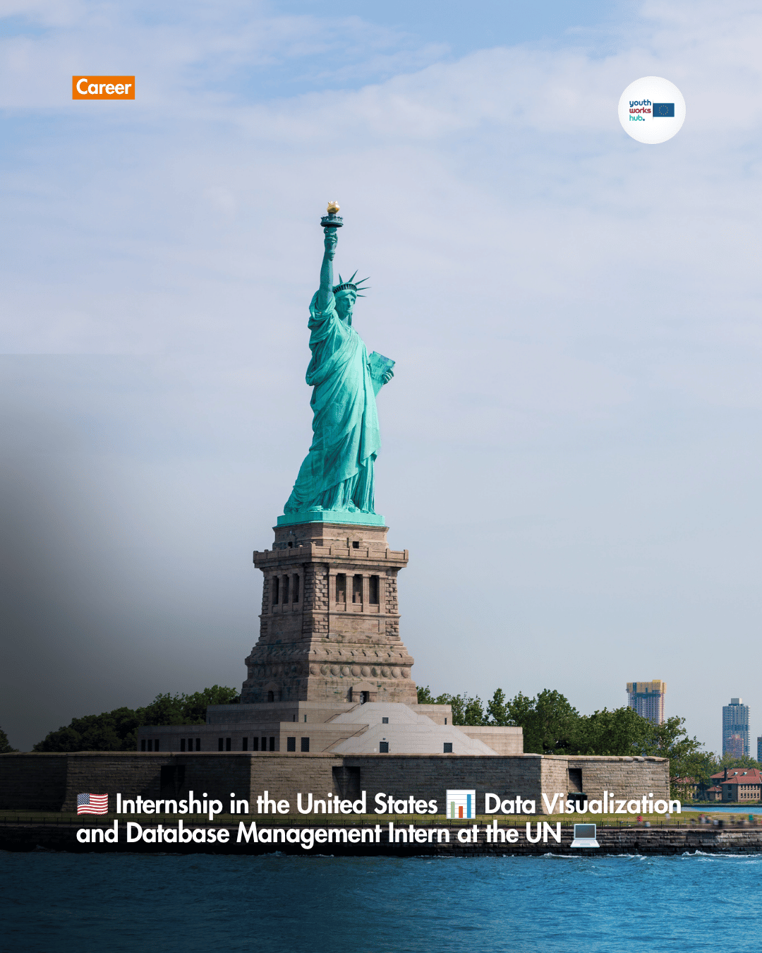 🇺🇸 Internship in the United States 📊 Data Visualization and Database Management Intern at the UN 💻