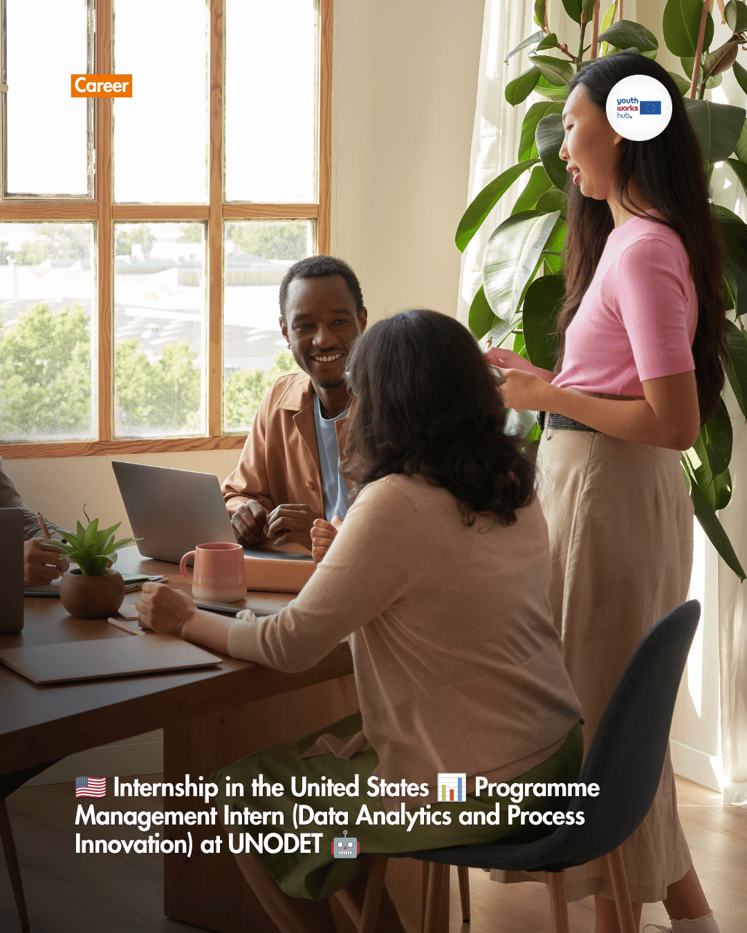 🇺🇸 Internship in the United States 📊 Programme Management Intern (Data Analytics and Process Innovation) at UNODET 🤖
